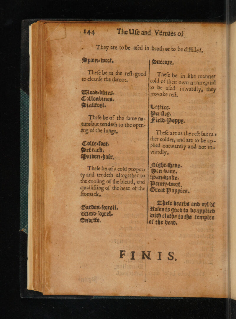 ae a at ed a 144 Spor iyozt. Thefé be as the ref. good to cleante the throat, UA oad-bines. Collonbines. @iikfoyl. Thefe be of the fame na- ang of the lungs, C olfssfané. $Hatden hair, Thefe be of a cold propers ty and tendeth altogether te the cooling of the blou d, and quailifiing of the heat of the {tomack, Veretés of Succosp, Thefe be in like manner cold of their own na cure,and @ be uled inwardly, they orovoke relt, aL *£ fice. pa flzy. Field-Peppy. Thefe are as the ref but ra 4 sted outwardly and not in. Miahe-Mhave. Handsake. Pennysino€, Oreat Pappies. Lbele bearbs and oyl df oles ts good to beappiten temples