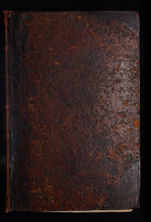 No text description is available for this image