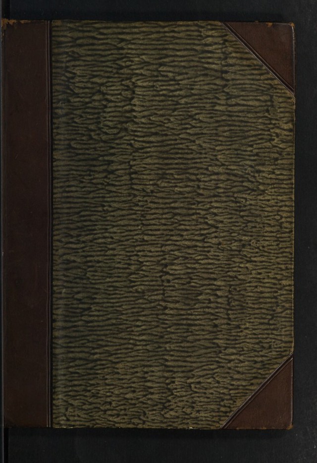digitised image 1