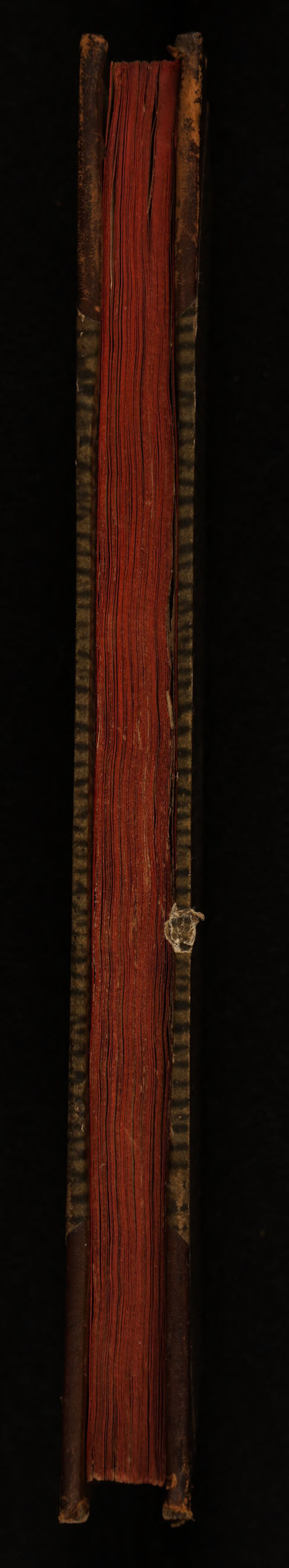 digitised image 3