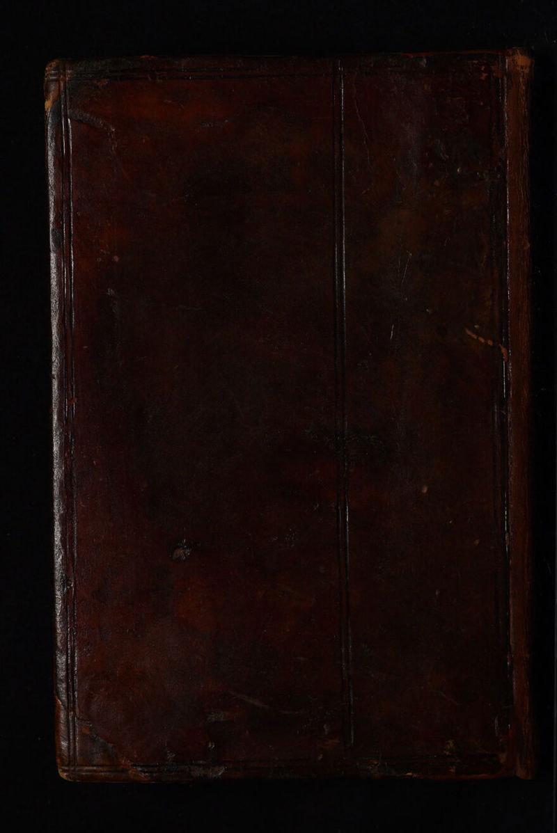 No text description is available for this image