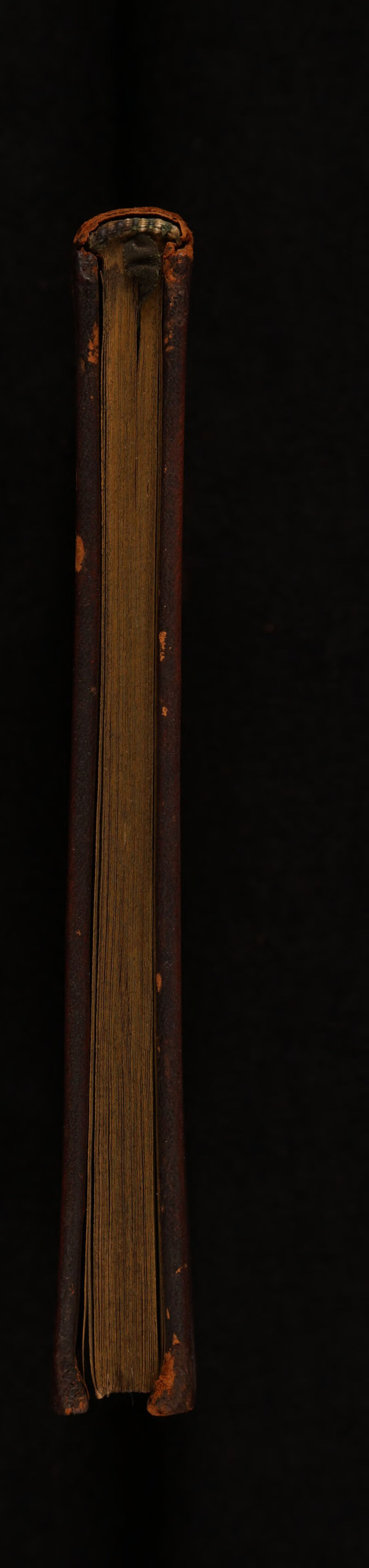 No text description is available for this image