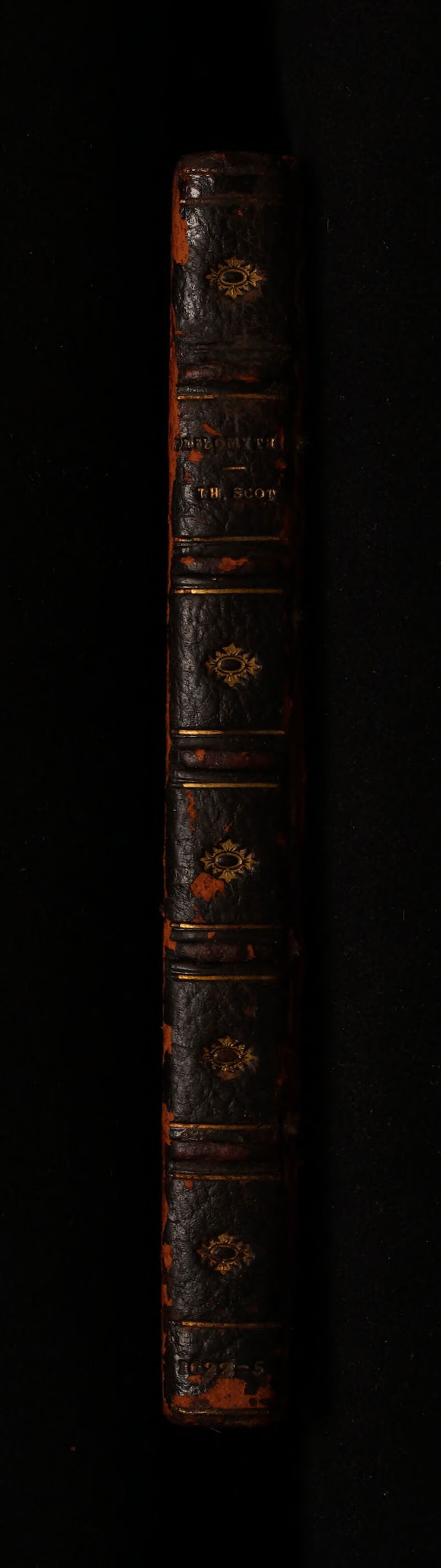 No text description is available for this image