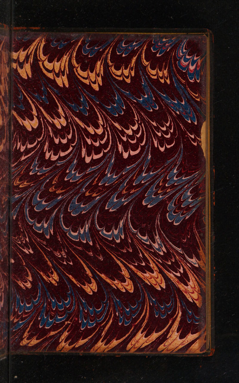 No text description is available for this image