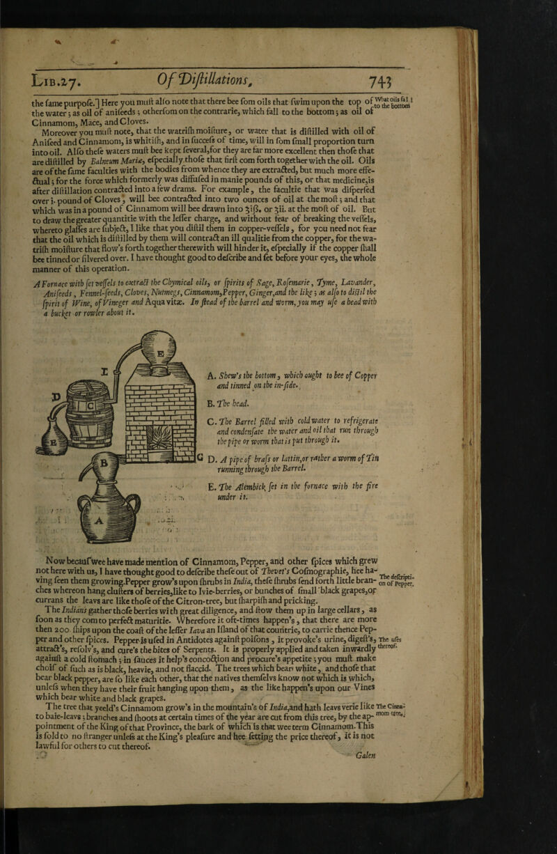 the fame purpofe.] Here you mud alfo note that there bee fom oils that fwim upon the top the water j as oil of anifecds ; otherfom on the contrarie, which fall to the bottom j as oil of Cinnamom, Mace, and Cloves. Moreover you mufl: note, that the watrifhmoifture, or water that is diftilled with oil of Anifeed and Cinnamom, is whitilh, and in fuccefs of time, will in fom fmall proportion turn into oil. Alfo thele waters mud bee kept lèverai,for they are far more excellent then thole that aredidilled by Bd/wewwMori-e, cfpecially^thofe that fird com forth together with the oil. Oils are of the lame faculties with the bodies from whence they are extrafted, but much more effe- ftual i, for the force which formerly was diffufed in manie pounds of this, or that medicine,is after didillation contraided into a few drams. For example, the facultie that was difperfed over i. pound of Cloves \ will bee contrafted into two ounces of oil at the mod ; and that which was in a pound of Cinnamom will bee drawn into ^ijS. or 5ii. at the mod of oil. But to draw the greater quantitie with the lefler charge, and without fear of breaking the vefTels, whereto glafles are fubjeft, I like that you didil them in copper-veflels, for you need not fear that the oil which is didilled by them will contraft an ill qualitie from the copper, for the wa- trilh moidure that flows forth together therewith will hinder it, efpecially if the copper fliall bee tinned or filvered over. I have thought good to describe and let before your eyes, the whole manner of this operation. AFornacexohb^c\T)e\feU to esitTAB the Chymkal oils, or [firits of age, Rofemarie, Tyme, Lavander, Anifeeds, Fennel-feeds, Cloves, Nutmegs, Cinnamomi?ef^er. Ginger,and the like j as alfo to diBil the ffirit of Wine, ofVineger and Aqua vitae. In ftead of the barrel and worm, y ou may ufe a head with a buc^t or rowler about it. ' A. Skew’s the bottom, which ought to bee of Coffer and tinned , on the in-ft de. ^ B. îbe head. C. the Barrel filled with cold water to refrigerate and condenfate the water and oil that run through the fife or worm that is fut through it, D. A fife of brafs or lattin,or rather a worm of fin running through the Barrel. E. fhe Alembick fit the fornace with the fire under it. Now bccâüfwce have made mention of Cinnamom, Pepper, and other fpices which grew not here with us, I have thought good to deferibe thefe out of fhevet’s Cofinographie, hee ha- ving feen them growing.Pcpper grow’s upon fhrubs in India, thefe fhrubs fend forth little bran- of ches whereon hang cluders of berries,like to Ivie-berries, or bunches of fmall 'black grapeSjOp Currans the leavs are like thofe of the Citron-tree, but fharpifh and pricking. The Indian's gather thofe berries with great diligence, and flow them up in large cellars, as foon as they comto perfeft maturitie. Wherefore it oft-times happen’s, that there are more then 200. fhips upon the coafl of the lefler lava an Ifland of that couritrie, to carrie thence Pep¬ per and other fpiccs. Pepper is ufed in Antidotes againdpoifons, it provoke’s urine, diged’s, The ufe$ attraft s, refolv s, and cure’s the bites of Serpents. It is properly applied and taken inwardly againd a cold ftomach jdn fauces it help’s concoâ;ion and procure’s appetite ; you mud make choir of fuch as is black, heavie, aud not flaccid. The trees which bear» white, and thofe that bear black pepper, are fb like each other, that the natives themfelvs know not wliich is which, unlefs when they have their fruit hanging upon them , as the like happen’s upon our Vines which bear white and black grapes. , The tree that yeeld’s Cinnamom grow’s in the mountain’s of India,3ind hath leavs verie like The cinn»3 to baie-leavs j branches and (hoots at certain times of the year are cut from this tree, by the aj^ «ora tree,., pointment of the King of that Province, the bark of which is that wee term Cinnamom.This is fold to no dranger unlefs at the King’s pleafure and hee^tcing the price thereof} it is uot lawfiil for others to cut thereof. Galen