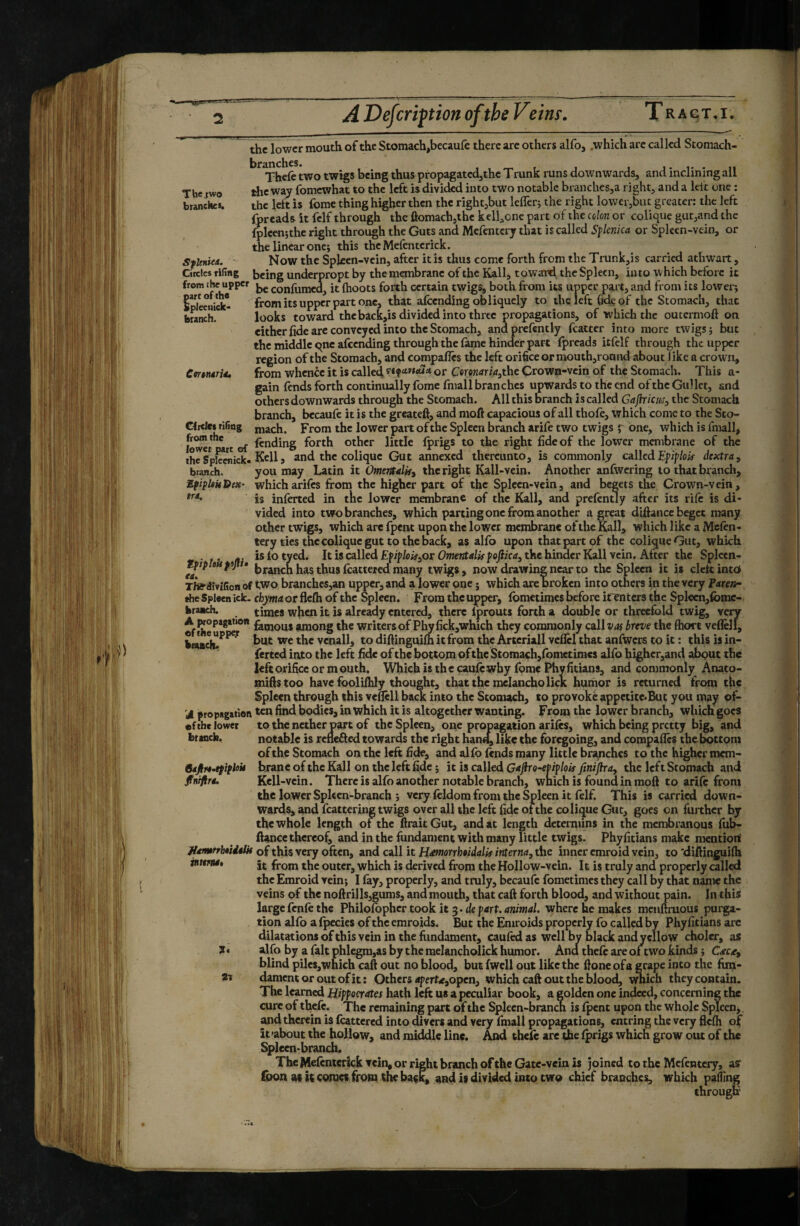 Thejwo brandies. Sfknied. Circles riling Cmnârié, CIrcIn riling from the lower part of the lower mouth of the Stomach,bccaufc there arc others alfo, .which arc called Stomach- Thelc two twigs being thus propagated^the Trunk runs downwards, and inclining all die way fomewhat to the left is divided into two notable branches,a right, and a left one : tlie left is fomc thing higher then the right,but lelTer; the right lower,but greater: the left fpreads it fclf through the ûomach,thc kell^onc part of the cdon or colique gut,and the lplcen;thc right through the Guts and Mcfcntcry that is called Sflenica or Spleen-vein, or the linear one j this thcMcfcntcrick. How the Spken-vein, after it is thus come forth from the Trunk,is carried athwart, being underprop! by the membrane of the Kail, toward the Spleen, into which before it from the upper confumed, it (hoots forth certain twigs, both from its upper pa.rt, and from its lowcrj IpiccHick- from its upper part one, that afeending obliquely to the left fide of the Stomach, that branch. looks toward theback,is divided into three propagations, of which the outermoft on either fide are conveyed into the Stomach, andprcfently fcatter into more twigs j but the middle qne afeending through the (âme hinder part (preads itfclf through the upper region of the Stomach, and compafles the left orifice ormouth,roand about Tike a crown, from whence it is called rcç-xwoirt or Cmnaria^thc Crown-vein of the Stomach. This a- gain (ends forth continually fome (hull branches upwards to the end of the Gullet, and others downwards through the Stomach. All this Branch is called Gajlricm, the Stomach branch, becaufe it is the greatefi, and moft capacious of all thoft, which come to the Sto¬ mach. From the lower part of the Spleen branch arife two twigs j one, which is fniall, jovrsf an ïn To^th othcr little (prigs to the right fide of the lower membrane of the the Spftmick-RcR J and the coliquc Gut annexed thereunto, is commonly culled Epiplok dextra, branch. you may Latin it Omcntdkf the right Kali-vein. Another anfwcring to that branch, EfifUitHcx- whicharifes from the higher part of the Spleen-vein, and begets the Crown-vein, is inlerted in the lower membrane of the Kail, and pre(cntly after its ri(c is di¬ vided into two branches, which parting one from another a great diftance beget many othcr twigs, which are fpent upon the lower membrane of the Kail, which like a Mc(cn- tery ties thccolique gut to the back, as alfo upon that part of the colique Gut, which ... islotyed. Itiscalled£pif/o^,or(?7«e«t(»/*ffojîiw,thchinderKallvcin.AfterthcSplccn- tppltttpji • branch has thus (cattered many twigs, now drawing near to the Spleen it is cleft into Tft^dlvilton of fwo branches,an upper, and a lower one ; which are broken into others in the very ?Aret^• the Spleen ick. chymci or fle(h of the Spleen. From the upper, fometimes before itTnters the Spleen,fomc- braach. times when it is already entered, there Ijprouts forth a double or threefold twig, very ^f h°^***'*°* i&mous among the writers of Phyfick,which they commonly cûlvas breve the (hort veflelf, komch!^^ but we the vcnall, to difiinguKh it from the Arteriali vcflcl that anfwcrs to it : this is in- ferted into the left fide of the bottom of the Stomach,fometimes alfo higher,and about the left orifice or mouth. Which is the caulcwhy (brae Phyfitians, and commonly Anato- miftstoo have foolifhly diought, that the mclancho lick humor is returned from the Spleen through this vcficll back into the Stomach, to provoke appetite*But you may of- 'JL propagation ten find bodies, in which it is altogether wanting. From the lower branch, wtiich goes ef the lower to the nether part of the Spleen, one propagation arî(ês, which being pretty big, and notable is rcfleâcd towards the right han«4 like the foregoing, and compafics thebottoni of the Stomach on the left fide, and al(b (ends many little brajiches to the higher mem¬ brane of the Kali on the left fide ; it is called Gafiro-ePiplok finiftra, the left Stomach and Kell-vcin. There is alfo another notable branch, which is found in moft to ari(c from the lower Spleen-branch j very (eldom from the Spleen it felf. This is carried down¬ wards, and fcattering twigs over all the left fide of the colique Gut, goes on fmthcr by the whole length of the ftrait Gut, and at length dctemiins in the membranous fub- ftance thereof, and in the fundament with many little twigs. Phyfitians make mention! JitmtfhtiiéUt of this very often, and call it Hmorrhtidalk interna, the inner cmroid vein, to 'diftinguilh inttm* it from the outer, which is derived from the Hollow-vein. It is truly and properly called the Emroid vein; I (ay, properly, and truly, becaufe fometimes they call by that name the veins of the noftri]ls,gums, and mouth, that caft forth blood, and without pain. In this large fenfe the Philofophcr took it 3. ide part, animal, where he makes mcii(lruous pui^- tion alfo a (pecks of the emroids. But the Emroids properly fo called by Phyfitians are dilatations of this vein in the fundament, caufird as well by black and yellow choler, as alfo by a fait phlegm,as by t he raelancholick humor. And thefe are of two kinds ; C^ec^e, blind pilcs,which caft out no blood, but (well out like the (lone of a grape into the ftru- damentoroutofit: Others (iperf.e,open, which caft out the blood, \;raich they contain. The learned Hippocrates hath left us a peculiar book, a golden one indeed, concerning the cure of thefe. The remaining part of the Spleen-branch is (pent upon the whole Spleen, ^d therein is (cattcred into divers and very fmall propagations, entring the very flc(h of it'about the hollow, and middle line. And thefe are the (prigs which grow out of the Spleen-branch. The Mefcntcrkk vein, or right branch of the Gate-vein is joined to the Mcfentcry, asr loon ai it comes from the back, and is divided into two chief branches, which pafilng through btanck. 64jli<0.efifhk fintfira. av