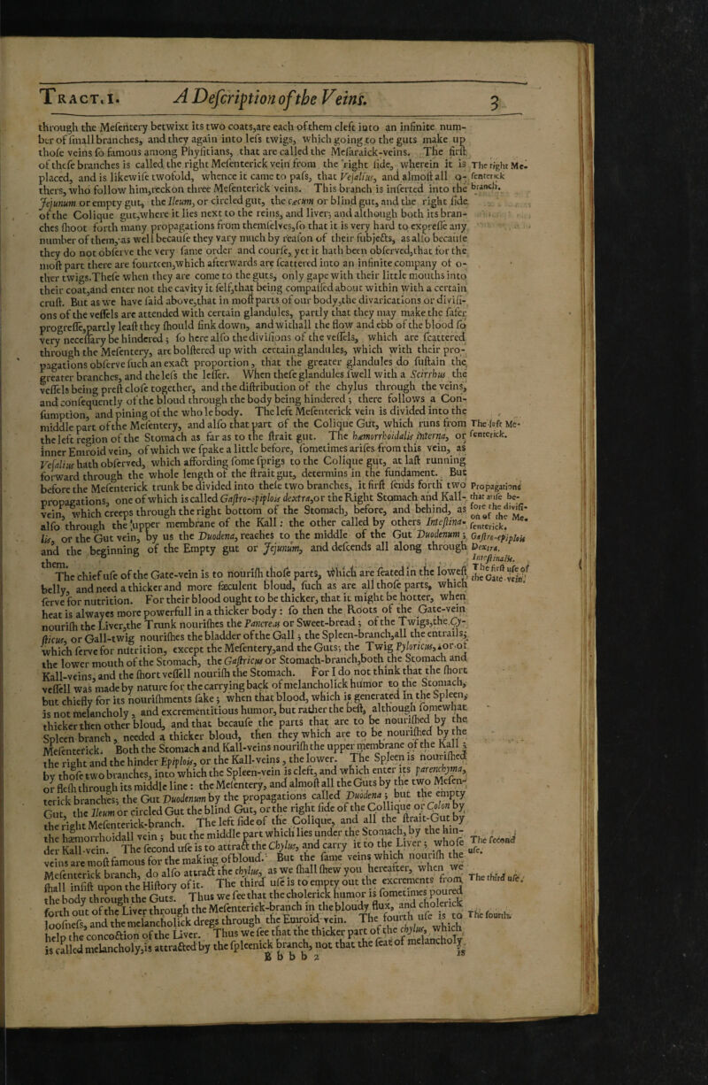 through the Mefeiitery betwixt its two coatSjare each ofthem cleft ioto an infinite num¬ ber of fmall branches, and they again into lefs twigs, which going to the guts make up thofe veins fo famous among Phyfitians, that are called the Mcfaraick-veins. The firft, of thefe branches is called the right Mefenterick vein from the right hdc, wherein it is The right Me- placed, and is likcwife twofold, whence it came to pafs, that TeJalius, and almoft all q- fcnrenck thers, who follow him,reckon three Melenterick veins. This branch is infcrted into the branch. Jejunum or empty gut, the Ileum, or circled gut, the c^cum or blind gut, and the right fide of the Colique gut,where it lies next to the reins, and livcrj and although both its bran- • chcs (hoot forth many propagations from themfelveSjfo that it is very hard to exprelle any • number of them,- as well becaufe they vary much by reafoa of their fubjefts, as alio becaule they do not obferve the very fame order and courfc, yet it hath been obfervcd,that for the moft part there are fourtcen,which afterwards are fcattcrcd into an infinite company of o- ther twigs.Thefe when they are come to the guts, only gape with their little mouths into their coat,and enter not the cavity it felf,that being compalied about within with a certain cruft. But as we have faid abovejthat in mott parts of our body,the divarications or divifi- ons of the veflTels arc attended with certain glandules, partly that they may make the fafer progreCkjOartly leaft they (hould fink down, and withail the flow and ebb of the blood fo very neceflary be hindered ; fo here alfo thedivifipns of the veflels, which arc fcattcred through the Mefentery, are bolftercd up with certain glandules, which ndth their pro¬ pagations obferve fuch an exaft proportion, that the greater glandules do fuftain the, greater branches, and the lefs the IcfTer. When thefe glandules fwell with a Scirrhus thé veflels being preft clofe together, and the diftribution of the chylus through, the veins, and confequently of the bloud through the body being hindered 5 there follows a Cori- fumption, and pining of the who le body. The left Mefentcrick vein is divided into the , middle part of the Mefentery, and alfo that part of the Colique Gut, which runs from Thelffft Me- thcleft region of the Stomach as far as to the ftrait gut. The hmorrhoidalkpitertja, or femerick. inner Eniroid vein, ofwhich we fpake a little before, fometimesarifcsfi'omthis vein, as' Vefalius hath obferved, which affording fome fprigs to the Colique gqt, at laft running;' forward through the whole length of the ftrait gut, determins in the fundament. _ But before the Mefenterick trunk be divided into the(e two branches, it firft fends forth' two Propagarbne propagations, one ofwhich is called Gajlro-cpflok dextu,or the Right Stomach and Kail- rhar anfe be- vein, which creeps through the right bottoni of the Stomach, before, and a®Me alfo through the 'upper membrane of the Kali ; the other called by others Meftina. c^i^tenck, ' Ik or the Gut vein, by us the Duodena, reaeheè to^thc middle of the Gut Duodenum’, Qaftre-epipUit and the beginning of the Empty gut or Jejunum, and defeends all along through ^exin, them o o . , . -i T’hc chief life of the Gate-vein is to nourifti tjiofe parts, D^hich are featedin the ioweft belly and need a thicker and more fæciilent bloud, fuch as are all thofe parts, which ferve for nutrition. For their blood ought to be thicker, that it might be hotter, when heat is alwayes more powerfull in a thicker body : fo then the Roots of ^e Gate-vein nourifti the Liver,the Trunk nourifties the Pmicre^ts or Sweet-bread ; of the Twigs,the.Çy- (iicuf or Gall-twig nourifhes the bladder ofthe Gall, the Spleen-branch,all the entrails^ which fervefor nutrition, except the Mefentery,and the Guts-, the Twig Tyloricus,koi'^ot the lower mouth ofthe Stomach, the Gajlricu^ or Stomach-braneh,both the Stomach and Kall-vcins, and the fhortveflellnourilh the Stomach. For I do not think that the (hort vcffcll was made by nature for the carrying back of melancholick hiinior to the Stomach, but chiefly for its nouriftiments fake ; when that blood, which is generated in tlic Spleen,- is not melancholy, and excrementitious humor, but rather the beft, although fonicwfiat thickerthen other bloud, and that becaufe the parts that are to ^ nourilhed by the. Spleen branch, needed a thicker bloud, then they which are to be nouriM by the Mefentcrick. Both the Stomach and. Kali-veins nourifti the upper menÿrane ofthe Kdi j the right and the hinder Epiflok, or the Kail-veins, the lower. The Spleen is nouriftied by thofe two branches, into which the Spleen-vein is cleft, and which enter its parenéyma,^ ol flefti through its middle line : the Meièntery, and almoft all the Guts by the two Mefen¬ terick branchi; the Gut Duodenum by the propagations called oîroSv Gut, the Ileum or circled Gut the blind Gut, or the right fide of the Collique ov Qlon by the right Mcfenterick-branch. the left fide of the Colique, and all the ftrait-Gut by the hLorrhüidall vein ; butthcmiddlcmrtwhichliesundeivtheStoni^ der Kail-vein. The fécond ufe is to attraft the Chylus, and carry it to the Liver, whole veinsaremoft&niomforthemakingofbloud.' But the fame M pff nterirk branch do alfo attraft the chyluf, as we (hall (hew you hercatter, when we ,, . ^. L infft uSe MftorVof it. The thirk ufi is to empty out the excrements from The .h,rf .rer the body thrmigh the GaS. Thus we fee that the cholerick humor is fometmies poured forth out of the Liver through the Mefenterich-branch in thehloudy flux and tholerick loofnefsj and the mciancholiek dregs through the Emroid vein. Th which help the concoaiofl ofthe Uver. Thus wefee that the thicker S’wS is called melancholy,is attrafted by the fpleenick branch, not that the feat! of melaitchol|^ B b b b 2