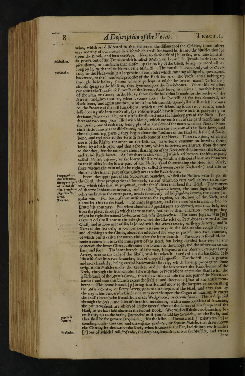 Akdiiflint. CtTV'tMtiS. veins which arc diftributcd in this manner to the diftances of the Crifiles, fomc others very worthy of our notice do arifcjwhich are difleminated both into the MufcleSjthat lye upon the Breaft, and into the Paps. Near to thele a third [h^ arifes, and fometimes al- fo grows out oftheTrunk,which is called becaufe it fpreads icfeli into the Medialiinunti or membrane that clofcs up the cavity of the Cheft, being extended all a- long by it, with the left Nerve of the Midriffe. The fourth [i] commonly called Cervr- califi or the Neck-vein,Is a large vein of both fides which running obliquelyjUpward,and backward, to the Tranfverfèprocefles of the Rack-bones of the Ncck^ andclin-ibin'g up through their holes, f from whence perhaps it might be better mtiKO Vertsbrdif ) affords fprigstothe Muffles, that lye next upon the Rack-bones. When this vein has gotabovetheTranfverffProceffc of the feventh Rack-bone, it derives a notable branch of the Sinuf or Canale-, in the Neck, through the hole that is made for the outlet of the . Nerves • and^hen another, when it comes above the^ Procefle of the fixt Spondyli, or Rack-bone, ’and again another, when it has left the fifth Spondyll.untill at laft it comes to the Proceffe of the firft Rack-bone, which notwithftanding it does not touch, much . Icffc does it paffe into the Skull, (as Vefaliuf would have it) near which it goes’ partly to the fame ftrm or canale, partly it is diftributed into the hinder parts of the Neck, F or tliere are two long fmus filled with bloud, which are made out of the hard membrane of the Brain, one of each fide, being placed at the fides of the marrow of the Neck. From thefe little branches are diftributcd, which nourifti the marrow of the Back-bone, and the neighbouring parts j they begin about the Jiinfture of the Head with the firft Rack- bone, and end near to the feventh Rack-bone of the Neck. Thcfftwo/Ki^-, ofwhieh one is of the Right, the other on the Left fide, have fome communion betwixt them-- felvcs by a little pipe, and that a ftiort one, which is derived oyerthwart from the one to the other, for the moft part about that region of the Neckjwhich is betwixt the ffcond, and third Rack- bones. At laft there is a fift vein [1] which ariffs from the hinder part, called Mulmla inferior, or the lower Muffle-vein, which is diftributed in many branches to the Muffles in the lower part of the Neck, (and fo extending the Head and Neck, from whence the vein might be rightlyer called Cer»/c<j/«-,or the Neck-vein) and alfo to thofe in the higher part of the Cheft near to the Rack-bones, pfopaptions ^ Subclavian branches, whikft the Hollow-vein is yet ifi îhenDBcrPwt the Cheft, three propagations iffue forth, two of which do very welldeffrve tobe no- of the Sukcla- ted, which take their way upward, under the Muffles that bend the Head. The forawr viah branche*. qP the two looks more inwards, and is called the inner Jugular vemrthe Jugularkin^ other inclines to the outer parts, and is commonly called Jugular if externa, the outer Ju¬ gular vein. For both of them ariff near to the or Hollow of the Neck, and affend by that to the Head. The inner is greater, and the outer lefle in a man ; but in Brutes’tis contrary. But when almoft all Appellations are derived, and that beft, not from the place, through which the veins paffe, but from their insertion 5 perhaps they might be rightlier named Cefhalicæ or Crfpft^j/eijHead-vcins. The inner Jugular vein [_rnj takes its originali near to the joint,by which the Clavicles or Patel-boncs are tyed to the Cheft, and as foon as it ariffs, is joined with the arteria carotk, or fleepy Artery, and a Nerve of the fixt pair, as companions in its journey, at the fide of the rough Artery, and climbing to the Chops, about the middle of the way is parted into two branches, of which one is called the outer, the other the inner branch. The outer is fo called, bc- cauft it comes not into the inner parts of the Head, but being divided into two at the corner of the lower Cheek, diftributes one branch to the Chops, and the other near to the Ears, and Face. The inner branch, all the way, is joyned to the Arteria Carotk,or fleepy Artery, evento the bafisof the Skull, whither when it is arrived on thebackfide, it is Hkewiff cleft into two branches, butofuneauallbigneflc. For the firft fnjis greater and more hinderly, being carried backward obliquely, which having propagated twigs to the Muffles under the Gullet, and in the forepart of the Rack-bones of the Neck, through the ffcond hole of the occifitium orNowl-bone enters the Skull with' the leffer branch of the Arttria Caret if^ through which faid hole the fixt pair of the Nerves de- feends : and thus this branch enters the firft Qi J and ffcond [2'] fmus of the thick brane. The ffcond branch fpj being Ihialler, and more to the forepart, quite fomking the Arteria Carotis, or fleepy Artery, goes to the forepart of the Head, and after that by the Way it has beftowed a Circle not very notable upon the Organ of hearing, it enters the Skull through the ff venth hole of the Wedg-bone, or Os cuneiforme, ^ This is dilperffd through the irfyrj, and fides of the thick membrane, with a numerous iflue of branches, the prints whereof are obferved in the inner furface of the bones of the forepart of the Head, as we have faid above in the ffcond Book. Wee will call theff two branches, bc- cauff they go to the brain, Encephalici,as if you fliould fay Cerebrales, ot the Brain, and that flmll be the greater Encefhalicus, this thelefler. The cxternall Jugular vein [q J a- feending under the skki, and the»JK/c«/«# quadratus, or Square-Muffle, that draws down the Cheeks, by. the fidcs of the Neck, when it comes to the Ear, is cleft into two branches frofiaiditt. H one of which I call Profundus, the deep one, becauft it enters the Muffles, and retires ■ ^ into aernd, Mxtornt. figularis externa.