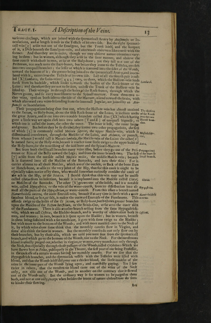 varicoiis Girclings, which arc jointd with the fpermaticall Artery by Ana,h>mies or In- oculations, and at length it ends in the Ttfticic of its own fide. But the n?hc fpermati- call vein[;)'] arifesnotout of the Emulgent, but the Trunk itielf, and^lie tbrepart of it, a little beneath the Emulgent-vein, and afterwards obferves a likecourle v/ith the former. And thus they are in males, though we may obferve nature oftentimes vary¬ ing in them: but in women, although they arife in the fame manner, and obicrve the famccourfe with thofe in men, as far as the Holy-bone j yet they fall nt;t out of the Peritoneum, nor reach unto the lhare-bones, but before they come to the Tcfticlts are cleft into two unequall branches ; the Idler of which is I'cattered into the fides of the Womb toward the bottom of it 5 the greater being joined to the Ipernuticall Artery,and inocu¬ lated with it, enters into the Tefiicie ot its own fide. Lafi of all the fourth pair is cal¬ led [X] Lumbares, the Loin-veins [444] two, or three, which the Hollow-vein fends . 1 forth from its backlidc, which looks towards the bodies of the Rack-bones of the . Loins ; and thereforethey are not to be feen, unldlc the Trunk of the Hollow-vein be lifted up. Thefe veins go in through the holes pf the Rack-bones, through which the Nerves go out, andfo carry nourilhmcnt to the Spinali marrow. PTom them two o- thcr veins, tyedon both lides to the fide of the Marrow, afeend toward the brain, with which afterward two veins defeending from the internali Jugular, are joined by an Ana- ~ or Inoculation. Thefe propagations being thus fentout, when the Hollow-vein has almoft attained Thed* t to the i’rfcrww, or Holy-bone, about the fifth Pcack-bone of the Loins, it inclines under ofrhe Tn,2 the great Artery, and is cut into two notable branches called lliaci [XX] which having inrothenwo gone a little way are again cleft into two others [YandZ] of unequall bignefic, of **'‘'‘^^** ^^**** which one is called the inner, the other the outer. The inner is leffe, the outer larger and greater. But before they be fo divided,they fcatter two other propagations, the firft of which [<5] is commonly called MufeuU juferior, the upper Mufcle-vein, which is ^ diflêminated overthwart, through the Mufcles of the Loins, and Abdomen, or paunch, rier ^ from whence I would call it Mujcula /«mèrf/if, the Mufcle-vein of the Loins: the other[6] is named Sacra, or the Holy-vcin,bccaufe it reaches fome little twigs to the upper holes of^^^,.^ the Holy-bone,for the nourilhing of the faid bone and the Spinall-Marrow. But from both the Iliacall branches many veins iflue, before they go out of the Peri-Propagation^ toneum ot Rim of the Belly toward the Legs ; and from the inner branch two. The firft of the inner I- [7] arifes from the outfide called Mujcula media, the middle Mufcle-vein 5 becaufe it is fcattered into all the Mufcles of the Buttocks, and into their skin : For it. carries aliment to all thofe Mufcles, which are of the outfide, or Back of the bone Ilium or Hanch-bone, asalfoto the very joint of the Hip, that for this caulc it ought to be cfpccially taken notice of by them, who would fomewhat curioufly confider the caule of she ach in the Hip, or the Sciatica. I Ihould think that this vein may not be amille called GluUa from its inlcrtion, becaufe it is implanted into the Mufcles called Glut A, qIhua. or Mufcles of the Buttocks. The other [8] grows out of the infide, and is a notable vein, called Hyfogajirica, or the vein of the water-courle, from its diftribntion into al- Hyfo^afirm, moft all the parts of the Hyfogajhrium,or water-courle. From this iflues a branch named Hétnmhoidalis externa, the outer Emroid-vein, bccaule if at any time it fwels with a giore ji^morrhoiddk fasculcnt blond, or hot,or fait, it makes the outward Emroids of the Fundament. This ex territ* affords twigs to the holes of the Os jacrum, or Holy-bone,but beftows greater branches upon the Mufcles of the Reâum Intejiinum, or the Strait-Gut, as far as to the outer skin or the Fundament. There is alfo an other branch arifing from the fame Hypogaftrick- vein, which we call Cjjhw, the Bladder-branch, and is worthy of obfervation both in QjlicMii men, and women ; in men, becaufe it is fpent upon the Bladder i but in women, becaufe in them being luftained with a fat membrane, it goes with fome twigs to the Bladder j but with more to the bottom of the Womb j and with more maUiteft ones to the Neck of it, by which veins alone fome think that the monthly courfes flow in Virgins, and fome alfo think the fame in womeUi But the monthly courfes do not only flow out by thefe branches, but by thofe alfo, which we told you were fent from the fpermaticall branch,and which go to the bottom of the Womb, not to the Neck. For the menftruous blond is ufnally purged out,whether in virgins,or women,every monthjuot only through the Ncck,'but cfpecially through thole paflages of the Wômb,called Cotyledones-Which wc have fhown here at Padua, publiquely in the Theater, the firft year of our being Profcflbr, in the carkafle of a certain woman having her monthly courles. For we faw that the Hypogaftrick branches, and the Tpcrmatick velTcls with the Tefticles were filled with blond, and that the Womb itfclfdid pour out a thicker blond, the little mouths of the veins in the inner part of the Womb lying open ^ and manifeftly gaping. Yet I faw twice in others, that the menftrUous bloud came out of the veins of the Neck only, not alfo out of the Womb, and in another on the contrary that it flowed out of the Womb only. But the ordinary way is for women to be purged at them both, and not at one only,exccpt when befidcs the intent of nature obftriiftiGns do fcen> to hinder their flowing. . ,