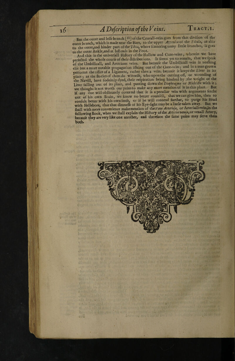 But the outer and lefTe branch [n] of the Crurall-vein goes from that dmfion of the outer branch, which is made near the Ham, to the upper A^^cndixo'i the fibula, as alio to the outetjand hinder part of the where Icattering many little branches, it goes to the outer Ankle,and at laft ends in the Foot. ^ And this is the univerfall Hiftory of the Hollow and Gate-veins, wherein we have perfefted the whole courle of their diftributions. It feems yet to remain, that we Ipeak of the Umbilicali, and Artcrious veins. Butbccaufe the Umbilicali vein is nothing clfe but a more notable propagation iflliing out of the Gate-vein ; and in a man grown performs the office of a Ligament, rather then a vein; bccaule it keeps the Liver in its^ places as the fto ries of them do witneffie, who upon the cutting off, or wounding ot the Navill, have fodainly dyed, their refpiration being hindred by .the weight ot the Liver falling out of its place, and putting down the Diaphragma or Midrifte with it j we thought it not worth our pains to make any more mention of it in this place. But if any one will obffinately contend that it is a peculiar vein with arguments fetcht out of his own Brain, we know no better counfell, that we can give him, then to conlult better with his own fenfe, or if he will contend further, to purge his Head with Hellebore, that that dimnefle of his Eye-fight may be a little taken away. But we ftiall with more convenience make mention of the Fena Arteriofa^ or Arteriall-vein,in the following Book, when we ffiall explain the Hiftory ofthe Arteria vemja,or venall Artery, becaufe they are very like one another, and therefore the lame pains may ferve them both.