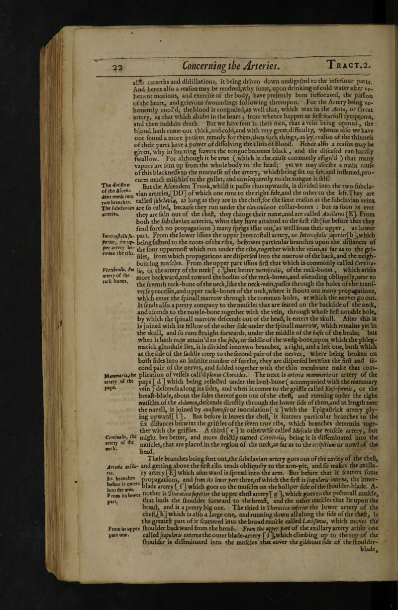 The divifion of the Afccn- ctcnt tnink iRco alfb catarrhs and diftillations, it being driven down undigeftcd to the infcriour parts. And hence alfo a reafon may be rendredjWhy fome, upon drinking of cold water after ve¬ hement motionSj and cxercifc of the body, have preicntly been fuffocated, the pafljon of the heart, and grievous (woundings following thereupon. For the Artery being ve¬ hemently cool’d, the blood is congealed,as well that, which was in the Aoita^ or Great artery, as that which abides in the heart ; from whence happen at firft tearfull fymptoms, and then fuddain death. But wc havefeen in theft men, that a vein being opened, the bloud hath conieout thick,arid cold,and with very great difficulty, whence alfo we have not found a more preftnt remedy for them,then I'uch things, as by reafon of the thinnefs of their parts have a power of diflblving the clots of blood. Hence alfo a reafon may be given, why in burning feavers the tongue becomes black , and the difeafed can hardly fwallow. For although it be true ( which is the cauft commonly affign’d ) that many vapors arc font up from the whole body to the head; yet we mayaferibe amain caufc ofthis blackncfleto the nearnefle of the artery, which being ftt on fire,and inflamed,pro- curcs much mifehief to the gullet, and confequently to the tongue it ftlf; But the Afcendent Trunk,whilft it pafles thus upwards, is divided into the two fubcla- vian arteries,[pD^ of which one runs to the right fide,and the other to the kft.They arc two branches, called [ubcUvu, as long as they are in the cheftjfor the fame reafon as the (ubclavian vein?, The fubclavian are fo called, bccauft they run under the clavifuU or collar-bones : but a^ foon as ever arteries. they are fain out of the cheft, they change their namc,and are called Axillares j^E]. From both the fubclavian arteries, when they have attained to the firft rib (for before that they fend forth no propagations ) many fprigs ifliie out/as well from their upper, as lower Intemjialkfu- part. From the lower iffucs the upper Intercoftall artery, or Jntercoftalif juferior^h~]yV/hkh ferior ) the up. being faftned to the roots of the ribs, beftowes particular branches upon the diftances of per artery be- yppermoft which run Under the ribs,togcthcr with the veins,as far as to the gri- tween t c n s. which propagations are dilpcrftd into the marrow of the back, and the neigh¬ bouring mufcles. From the upper part iflues firft that which is commonly called Cervka- Vertthalii, the or the artery of the neck [ c Tbut better vertebralif} of the rack-boncs , which arifts more backward,and toward the bodies of the rack-boncs,and aftending obliquely,near to rac • ones, feventh rack-bonc of the neck,like the ncGk-vein,pafles through the holes of the tranf> vefftprocefles,and upper rack-boncs of the neck, where it (hoots out many propagations, which enter the fpinall marrow through the common holc.c, at which the nerves go out. It ftnds alfo a pretty company to the muftles that arc ftated on the backfidc of the neck, and afeends to the nowlc-bonc together with the vein, through whoft firft notable hole, by which the fpinall marrow defeends out of the head, it enters the skull. After this it is joined with its fellow of the other fide under the fpinall marrow, which remains yet in the skull, and fo runs ftraight forwards, under the middle of the of the brainj but when it hath now attain’d to the [eUa^ or faddle of the wcdg-bonc,upon which the phlcg- matick glandule lies, it is divided into two branches, a right, and a left one, both whiai at the fide of the faddle creep to the fécond pair of the nerves, where being broken on both fides into an infinite number of furcles, they are difperftd betwixt the firft and fé¬ cond pair of the nerves, and folded together with the thin membrane make that com- Miinmariatihf plication of vcflels call’d Cfcoro/dex. The next is 4rterft mammaria ov artery of the artery of the paps[d3 which being reflefted under the breft-bone ( accompanied with the mammary paps, Yçjn ) defeends along its fidcs, and when it comes to the griftlc called Enft-formis , or the breaft-blade, about the fidcs thereof goes out of the cheft, and running uçidcr the right inufclcs of the abdomerydefeends dircftly through the lower fide of them,and at length neer thcnavell, is joined by 4«4j?eMJoyrjor inoculation (x] with the Epigaftrick artery ply¬ ing upward[i3. But before it leaves the cheft, it fcatters particular branches to the fix diftances betwixt the grift les of the ftven true ribs, which branches determin toge¬ ther with the griftles. A third [ e ] is otherwife called Mufcula the mufcle artery, but CtrmnlUy the might bee better, and more ftriftly named Cervicalis^ being it is dificminated into the artery of the mufcles, that arc placed in the region of the neck,as far as to the occifixim or nowl of the  ' head. Theft branches being fent out,the fubclavian artery goes out of the cavity of the cheft, AnttU exiUa- and getting above the firft ribs tends obliquely to the arm-pit, and fo makes the axilla- ris. ry artery [E] which afterward is fpread into the arm. But before that it ftatters fomc ItsJjranchcs propagations, and from its lovcer fart threcjofwhich the firft is [cafularis interna^ the iriner- Into the armolade artery f 3 which goes to the muftles on the hollpw fide of the fhouldcr-blade. A- From its lower nother is Ihoracicafuferior the upper cheft artcry'[ g 3, which goes to the pcftorall mufcle, part. that leads the fhoulder forward to thebreaft, and the other mufcles that lie upon the breaft, and is a pretty big one. The third is 7heracica inferior the lower artery of the chcft,[^h] which is alfo a large one, and running down all along the fide of the chéft, is the greateft part of it ftattcred into the broad mufcle adlcd LatijJIwMi which moves the From ks upper fhouldcr backward from the breaft. From the upper fart of the axillary artery arifts one part one. called fcapularis externa the outer blade-artery [ i J,whicb climbing up to the top of the fhouldcr is difleroinated into the inufclcs that cover the gibbous fide of the fhouldcr- blade.