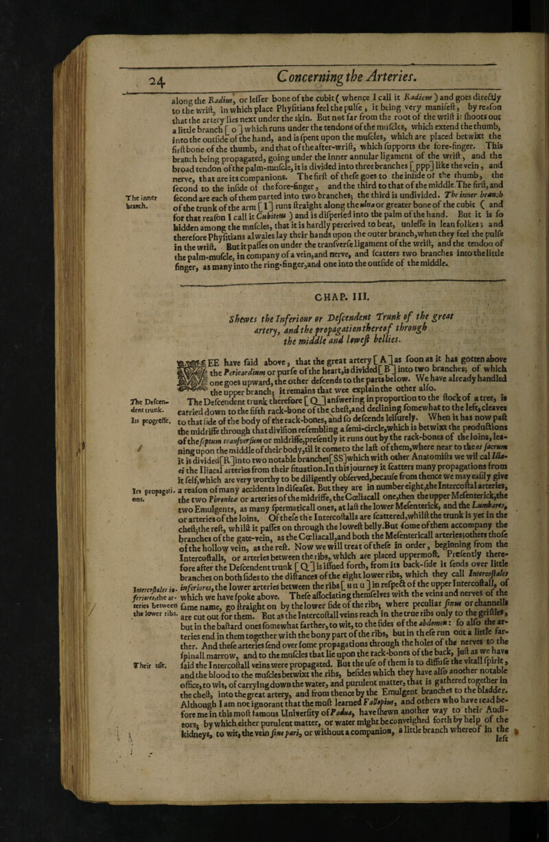 The inner branch. alone the Kadiw\ or leffer bone of the cubit ( whence 1 call it ) and goes direajy to the wrift. in which place Phyfitians feel the pulfc * it being very manifeft, by reafon that the ar lery lies next under the skin. But net far from the root of the wrift ic (hoots out a little branch f o ] which runs under the tendons of the mufcles, which extend the thumbj into the outlidc of the hand, and is fpent upon the mufcles, which are placed betwixt the hrftbone of the thumb, and that oftheafter-wrift, which fupports the fore-finger. This branch being propagated, going under the inner annular ligament of the wrift, and the broad tendon ofthe palm-mufcle, it is divided into three branches [ ppp] like the vein, and nerve, that are its companions. Thcfirft of thefe goes to the infide ot the thumb, the fécond to the infide of the fore-finger, and the third tothat of themiddle.Thc firft,and fécond are each of them parted into two brancheSj the third is undivided. The inner brstteb ofthe trunk ofthe arm [ 13 runs ftraight along the «/«-a or greater bone of thecubit ( and for that reafon I call ic Cuhitetu ) and is difpcrled into the palm of the hand. But it is fo hidden among the mufcles, that it is hardly perceived to beat, unlelfe in lean folkcs j and therefore Phyfitians alwaics lay their hands upon the outer branch,when they feel the pulfe inthewrilf/ Butitpaflesonunder the tranfverfc ligament ofthe wrift, and the tendon of the palm-inufcle, in company ofaveinjand nerve, and featters two branches intoihclittlc finger, as many into the ring-finger,and one into the outfide of the middle. CHAP. III. Shetves the Inferiour er I>efctndent Trunk of the great arteryj andthe fropagationthereof through the middle and lotvefi bellies. EE havefaid above, that the great artery [Alas foonasit has gotten above the Pcrkarditim or purfe ofthe heart,» divided [Bl into wo branche «of which one goes upward, the other defeends to the parts below. Wchavc already handled -the upper branch; it remains that wee explain the other alfo. nc D.fcen. The Dcfcendent trunk thérefote ftockof atree, la dent trunk. carried down to the fifth rack-bone of the cheft,and declining fomewbat to the left, cleaves Its ptogreffe. to that fide of the body of the rack-bones, and fo defeends l®i*urcly. When it has now paft the midriffc through that divifion refembling a femi-circle,which is betwixt the produaions ofthe feptutn tranfverfitm or midriftb,prefen tly it runs out by the rack-bones of the loins, Ica- Bingupon thcmiddleoftheir body,tilit cometo the laft of them,whcre near totkcos faernm it is dividedralinto two notable branches[SS]which with other Anatomifts we wil cal i/w- ci the Iliacal arteries from their fituation.In this journey it featters many propagations from it felf,which are very worthy to be diligently obferved,bccaufc from thence we may eahly give 1« proiMeaii. a reafon ofmany accidents indifeafes. Butthey are in namber eight.theIntercoftalarten», ens. the two PwMfM or arteries ofthe midriffe, the Cœliacall one,then theupperMrfentericl^the two Emulfients, as many fpermaticall ones, at laft the lower Mefenterick, and the Lumbarts, or artericsof the loins. Of thefe the Intercoftalls are fcattcred,whilft the trunk is yet in the cheft-thereft, whilfl: it pafles on through the loweft belly .But fomcofthem accompany tw branches ofthe gate-vein, as the Cceliacall,and both the Mefentericall arteri.cs;othcrs thofe of the hollovy vein, as the reft. Now we will treat of thefe in order, ^ginning “Oni the Intercoftalls, or arteries between the ribs, which are placed uppermoft.^ Pr€fcntly there¬ fore after the Defcendent trunk [dl is iflued forth, from its back-fide it fends over little branches on both fides to the diftanccs ofthe eight lower ribs, which they call Intercopks JnierceOiles in- inferior es ^ the lower arteries between the fibs [ u u u ] in refpeft of the upper Intercoftall, of /”,Uthc ». which we have fpoke above. Thefe alloeiating themfelves with the veins and nerves of the icrics between faujg ijjiije goftraightou by the lower fide of the ribs; where peculiar or charmells the lower ribs. cut out for them. But as the Intercoftall veins reach in thetrueribs only to thegriftlc», but in the baftard ones fomewhat farther, to wit, to the fides of the abdomen : fo alfo the ar¬ teries end in them together with the bony part of the ribs, but in th efe run out a little tar- ther. And thefe arteries fend over fome propagations through the holes of the nerves to tne fpinall marrow, and to the mufcles that lie upon the tack-^ncs ofthe jaft as we have faid the Intercoftall veins were propagated. But the ufe of them is to diffufc the vitall Ipirlt, and the blood to the mufcles betwixt the ribs, befides which they have alfo another notable Gffice,to wit, of carryingdownthe Water, and purulent matter, that is gat ere toKt crin thecheft, into the great artery, and from thence by the Emulgent branches to the bladder. Although I am not ignorant that the moft learned FaJIopm, and others who nave read fore me in this moft famous Univerfity olFainay have (hewn another way w their Audi¬ tors* by which either purulent matter, or water might bcconvcighcd forth by help o1 the kidneys, to wit, the vcin^w/'ari, or without a companion, a little branch whereof in the Their ufe.