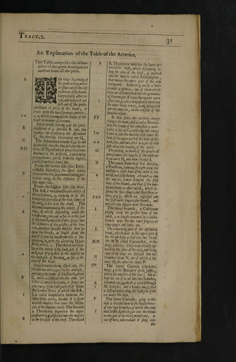 RAGT.2* An Explanation ofthe Tabic of the Arteries. A A a B DD d j This Tabic coniprifcs thedeline- 1 ation of the great Artery,entire and free from ail the parts. He large beginning cf the great artcry:,where it ijjues out of the left ventricle ofthe heart: butfrefently after its rife^and before it yet falls out cf the peri- S cardium or purje of the hearty it poots forth the two Coronary arteries, a, a, which encompaffe the bails of the heart in manner of a crown. Butprefently having pa[i the peri¬ cardium it k divided B into two trunkyi one of which is the Ascendent C, the other the Hejcendent one Qo The Aiccndent trunk by and by divided into the two juhclavian ar^ teries D D^both which when they have attained to the firfi rib^ fcatterm^ny propagations ; partly from the higher^ partly from their lower fide. From the lower Gdcijfues Inter- cdftalis iuperior, the upper artery between the ribs ^^communicating par¬ ticular twigs to the difiances of the four upper ribs. From the higher Gdc ijfue three. The firft k vertebral is,tfce artery of the raci^bonesf Cy creeping on by the tranjverfe proceffesofthe racky bones of thene’e}^ as far as to the skull. The fécond mammaria the artery of the d, which defending under the breafl-bone^runs out as far as to the feat of the navill^and diflributes [prigs into the difiances of the grifiles of the true Tibs^andthen intothe mufcles that lye upon the breafi ^ at length about the tiavillit joins by ancLGomoGs or ino¬ culation^ X, with the afeending Epiga- fifickartery^ i. The third cervica¬ lis or the artery ofthe backjide of the j ttccl^Cfk propagated to the mujcles on the backslide of the nech^ as far as the nowlof the head. . Ehele branches being iffued outy the fubclavian artery goes to the arm-pit^ and takes the name Axillaris, E, andjo kdifufed into the arm. let before it enters thereinto^ it (hoots out feme twigs from both parts of it: from the lower three^ of which the firft, fj k called fcapularis interna the inner blade artery, becaufe it is [pent upon the mufcles that cover the hollow fide ofthe (hsulder-blade.The fécond k Thoracica fuperior the upper ihefi artery,gfiifperfed into the mufcles on the fore fide of the chefi, The third FF Ini n n O H PPP MM N Of h. Thoracica inferior the lower ar¬ tery of the chefi, which defending a- longthe fides of the chefi, k injerted into the mufle called AmCcalptor, that moves the upper fart of the arm bachyeard. Betwixt g andh a little branch kplaced, one of them which here arc diffeminated into the glandules of thearm.pit.IFrom ttic upper part ifiues one,i,calcd icapylaris externa the outer blade artery, being difoiedof into the mu-i des, on the out fide of the (boulder-blade. ' In thk place the axillary artery changes itsname,dnd k called Brachi¬ alis the trun f of the arm,that k undi¬ vided as far as ô,]catteringtwo twigs 1 and m into the mufcles that cover the bone of the upper part of the arm m the baikjide-, and two other n n,one of each fide about the bending of the cubit, The parting in twain of the Brachiali artery under the bought of the cubit in¬ to an outer H, and inner branch I. The outer brancho/ thk divifion, , or Radieus, running ftraight along the radius or leffer bone ofthe cubit to the wrifi,and diftributmg a branch o int^ the mufcles fated betwixt the firfi bone of the thumb, and that ofthe me- tacarpium or afer-wrifi, which fu- fiains the for e-finger,and then three o- rfcer, ppPj which are difperfed into the firfi outer fingers,the thumb, and wit,the two fingers next thereunto. The inner branch, or Cubiteus pajfing along the greater bone of the cubit, k at length confumed in a double branch upon the two inner fingtrs, to ting-finger and little one. Theremainingpart of the Af 'endent trunfp which near to the upper fart of the breafi-bone k clef into two bran¬ ches M.M called Carotides, or the fleepy arteries. Ihef tend direfily up¬ ward by the fides ofthe mch^and being come terthe chops are divided Mo two branches about N, one of which k the outer O, the other the inner P- The outer Carotis propagates twigs 4 to the Buccae or cheeky P^ffes^ and to the mufcles of the face ; but a- bout the ear it k cut Mo two branches^ aformofi one,q,which k cariedthrough the Icmples', and a hinder one,v, that k diffeminated along the backfide ofthe ear under the skjn. The Inner Carotis, going to the skul k divided near to the bafis there¬ of into two branches',of which the one and l€ff'er,f,whichgoes into the finus on the fide cf the thiefmembrane, k cut of here, whereabout it finky Mo the