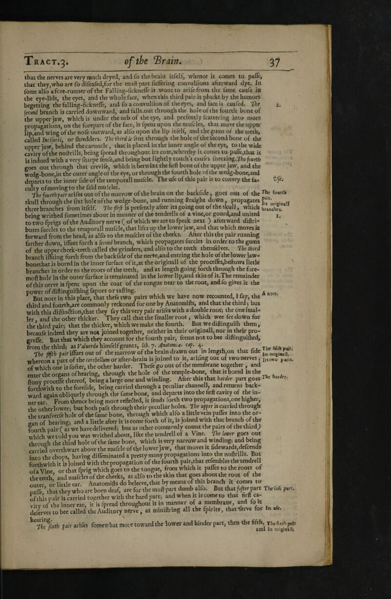 Vféi that the nerves are very much dryedj and fo the brain itfelf, whence it conics to pafle, that they,who are fo difeafed/or the moft part fuffering convulfions afterward dye. In fomealfo afcre-runner of the Fallihg-ficknefiTe is wont to arife from the fame caufe in the eye-lids, the eyes, and the whole face, when this third pair is pluckt by the humors begetting the falling-fickneffe, and fo a convuHion of the eyes, and face is caufed. ‘ïhe jecend branch is carried downward, and falls.out through the hole of the fourth bone of the upper jaw, which is under the orb of the eye, and prcfently fcattcring into more propagations, on the forepart of the face, is fpent upon the mufcles, that move the upper lip,and wing of the nofe outward, as alfo upon the lip itfclf, and the gums of the teeth, c^led Inciforii, or Oireddcrs. Ihs third k fent through the hole of the fécond bone of the upper jaw, behind the caruncle, that is placed in the inner angle of the eye, to the wide cavity ofthc noftrills, being fpread throughout its coat,whereby it comes to paiîè,that it is indued with a very (harpe fenrc,and being but lightly touch’t caufes rneezing. Jfoefo«rtb goes out through that crevife, whichisbctwixtthefirftboneoftheuppcr jaw, and the wedg-bone,in the outer angle of the eye, or through the fourth hole of the wedg-bone,and departs to the inner fide of :he temporali niufcle. The ufe of this pair is to convey the fa¬ culty of moving to the faid mufcles, Tfcefowrtbfrfirarifcsoutofthemarrowofihebramon the backfidc, goes out of the skull through the fixt hole of the wedge-bone, and running ftraight down propagates f's'ijrieinall three branches from itfelf. Ihepjï is prefently after its going out of the skull, which branches, being writhed fometimes about in manner of the tendrclls of a vine,or gourd,and united j , to two fprigs ofthc Auditory nerve ( of which we are to fpcak next ) afterward diftri- butes furclcs to the temporali mufclcjthat lifts up the lower jaw, and that which moves it forward from the head, as alfo to the mufcles of the cheeks. After this the pair running farther down, iffues forth a fécond branch, which propagates furcles in order to the gums of the upper cheek-teeth called the grinders, and alfo to the teeth themfelvcs. The third branch ilTuing forth from the backfide of the nerve,and entring the hole of the lower jaw- boncthat is bored in the inner furface of it,at the originali of the proceflesjbeftows little '■ brg^nches in order to the roots ofthc teeth, and at length going forth through the fore- mo ft hole in the outer furface is terminated in the lower lip,and skin of it.The remainder of this nerve is fpent upon the coat of the tongue near to the root, and fo gives it the power ofdiftinguilhingfapors or tailing. ^ But note in this place, that thefetwo pairs which we have now recounted, I fav, the third and fourth,are commonly reckoned for one by Anatoniifts, and that the third ; but with this diftinaion,that they fay this very pair arifes with a double rootj the onefmal- 1er and the other thicker. They call that the fmallcr root, which wee fet down for the\hird pair; that the thicker, which we make the fourth. But we diftinguilh them , becaufe indeed they arc not joined together, neither in their originali, nor in their pro- greffe. But that which they account for the fourth pair, feems not to bee diftinguifhed, from the third; as raiwerrfrfhimfelf grants, //6.7.w;. 4. The fifeh pair. Tfee afth p^irilTucsoutof the marrow of the brain drawn out in length,on that fide ‘ whereon a part of the cerebellum or after-brain is joined to it, ariung out of two nerves ; jjs two p artss of which one is fofter, the other harder. Thefe go out of the membrane together , and enter the organs of hearing, through the hole of the temple-bone, that is bored in the ftonv procele thereof, being a large one and winding. After this that harder part go cs forthwith to the forefide, being carried through a peculiar channell, and returns back-' ■ward again obliquely through the fame bone, and departs into the nrft cavity of in¬ ner ear From ^ence being more reflefted, it fends forth two propagations,one higher, the other lower; but both pafs through their peculiar holes, rhe ufper is carried through the tranfverfeholc of the fame bone, through which alfo a little vein paftes into the or- san of hearing; and a little after it is come forth of it, is joined with that branch of the fourth pair C as we have delivered; but as other commonly count the pairs of the third; which we told you was writhed about, like the tendrcllot a Vine, the lower goes out through the third hole of the fame bone, which is very narrow and winding; and being carried overthwart above the mufcle of the lower jaw, that moves it fidewards,dcfcends into the chops, having dilTeminatcd a pretty many propagations into the noftrills. But forthwith it is joined with the propagation of the fourth pair,that reftmbles the tendrcll ofa Vine or that fprig which goes to the tongue, from which it pafles to the roots of theteeth’ and mufcles of the cheeks, as alfo to the skin that goes atwut the root of the outer or little ear. Anatomifts do beleeve,that by means of this branch it comes to oaffe ’ that they who are born deaf, are for the moft part dumb alfo. But that fo/fer part The foft pm. of this pair is Carried together with the hard part; and when it is come to that firft ca¬ vity of the inner ear, it is fpread throughout it in manner of a niembranc, and fo it deferves to bee called the Auditory nerve, as miniftring all the (pints, thatTerve for n e. pair arifes fomewhat more toward the lower and hinder part, then the fift^