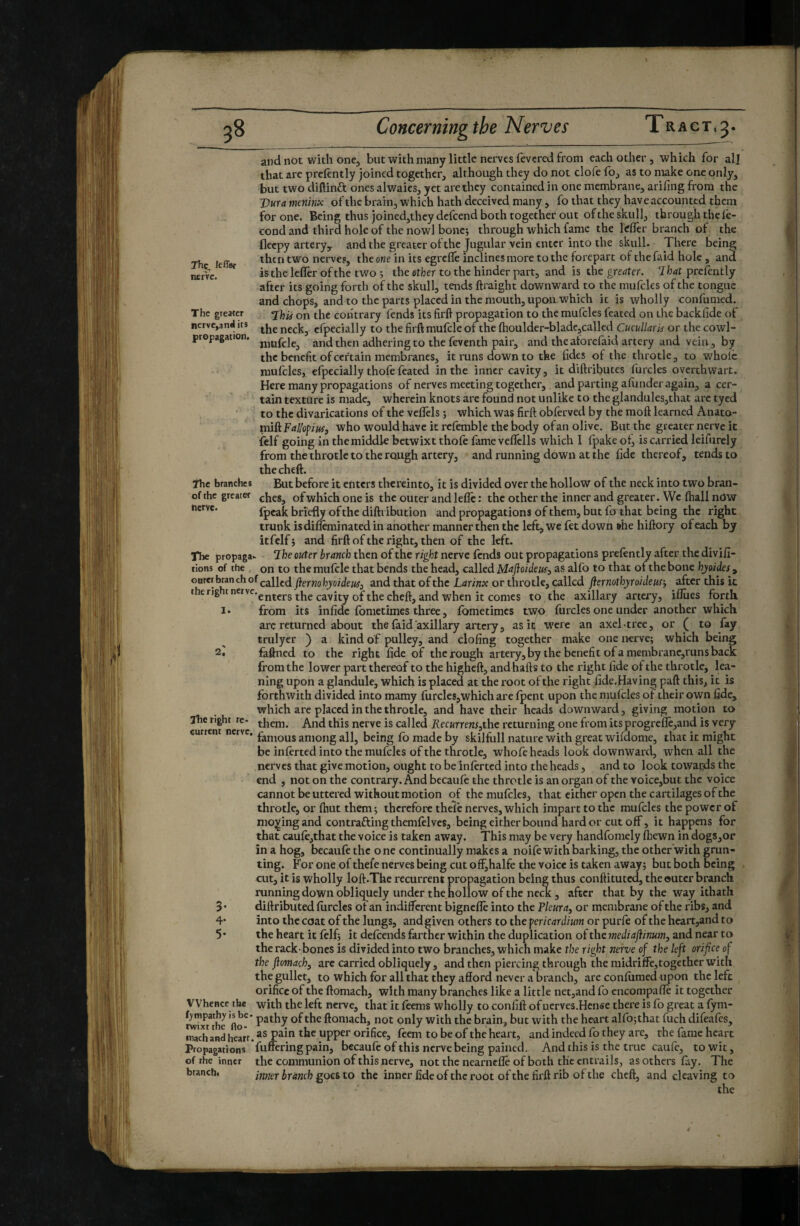 I 38 Concerning the Nerves Tract.3. Thç, lefler ncrVc. The greMer nerve,and its propagation. The branches 1. and not with one, butwithmany little nerves fevered from each other, which for al] that are prclently joined together, although they do not clofe fo, as to nuke one only, but two diftinft ones alwaies, yet are they contained in one membrane, arifing from the Vura meninx of the brain, which hath deceived many, fo that they hav e accounted them for one. Being thus joincdjthcydefcend both together out of the skull, through the fé¬ cond and third hole of the nowl bone; through which fame the léffer branch of the fleepy artery, and the greater ot the Jugular vein enter into the skull. There being then two nerves, the one in its egrefle inclines more to the forepart of the faid hole, and is the lefler of the two ; the other to the hinder part, and is the greater, lhat prcfently after its going forth of the skull, tends ftraight downward to the mufcles of the tongue and chops, and to the parts placed in the mouth, upon which it is wholly confumed. Jhis on the contrary fends its firft propagation to the mufcles feated on the backlide of the neck, cfpecially to the firft mufcle of the j[houlder-bladc,callcd CucnllarU or the cowl- mufclc, and then adhering to the feventh pair, and the aforefaid artery and vein, by the benefit of certain membranes, it runs down to the fides of the throtle, to whole mufcles, efpecially thofe feated in the inner cavity, it diftributes furcles overthwart. Here many propagations of nerves meeting together, and parting afunder again, a cer¬ tain texture is made, wherein knots are found not unlike to the glandulesjthat are tyed to the divarications of the vcflels ; which was firft obferved by the moft learned Anato- ml&Fal/ogm, who would have it refemble the body of an olive. But the greater nerve it felf going in the middle betwixt thofe lame veflclls which 1 fpake of, is carried leifurcly from the throtle to the rough artery, and running down at the fide thereof, tends to the cheft. But before it enters thereinto, it is divided over the hollow of the neck into two bran- of the greater ^bes, of which one is the outer and lefle : the other the inner and greater. We ftiall now nerve. fpcak briefly of the diftiibution and propagations of them, but ferthat being the right trunk is difftminated in another manner then the left, we fet down »he hiftory of each by itfelfj and firft of the right, then of the left. The propaga. 7he outer branch then of the right nerve fends out propagations prefently after the divifi- tions of rhe . on to the mufcle that bends the head, called Mafloideus, as alfo to that of the bone hjoides , ft^tnohyoideui) and that of the Larinx or throtle, called flernothyroidemi after this it t erig tncrvc.^^^^j,g to the axillary artery, iflues forth from its infide fometimes three, fbmetimes two furcles one under another which arc returned about the faid axillary artery, as itf were an axel-trce, or ( to fay trulyer ) a kind of pulley, and doling together make one nerve; which being faftned to the right fide of the rough artery,by the benefit of a membranc,runs back from the lower part thereof to the higheft, and hafts to the right fide of the throtle, lea¬ ning upon a glandule, which is placed at the root of the right fide.Having paft this, it is forthwith divided into mamy furcles,which are Ipent upon the mufcles of their own fide, which arc placed in the throtle, and have their heads downward, giving motion to them. And this nerve is called Recurrens^thc returning one from itsprogreflc,and is very current nerve, among all, being fo made by skilfull nature with great wifdome, that it might be infected into the mufcles of the throtle, whofe heads look downward, when all the nerves that give motion, ought to be inlertcd into the heads, and to look towards the end , not on the contrary. And becaufe the throtle is an organ of the voice,but the voice cannot be uttered without motion of the mufcles, that cither open the cartilages of the throtle, or fhut them ; therefore thefe nerves, which impart to the mufcles the power of moving and contrafting themlelves, being either bound hard or cutoff, it happens for that caufe,that the voice is taken away. This may be very handfomely fhewn in dogs,or in a hog, becaufe the one continually makes a noife with barking, the other with grun¬ ting. For one of thefe nerves being cut offjhalfe the voice is taken away; but both being , cut, it is wholly loft.The recurrent propagation being thus conftituted, the outer branch running down obliquely under the hollow of the neck, after that by the way ithath diftributed furcles ot an indifferent bignefle into the Pleura, or membrane of the ribs, and into the coat of the lungs, and given others to the Ÿcricardium or purfe of the heart,and to the heart it felf; it defeends farther within the duplication of the mediajiinum, and near to the rack- bones is divided into two branches, which make the right nerve of the left orifice of the flomach, are carried obliquely, and then piercing through the midriflc,together with the gullet, to which for all that they afford never a branch, are confumed upon the left orifice of the ftomach, with many branches like a little net,and fo cncompafle it together Whence the with the left nerve, that it feems wholly to confift of uerves.Hcnse there is fo great a fym- iCiTthe 'fto-* ftomach, not only with the brain, but with the heart alfo;that fuch difeafes, mach'and heart. upper orifice, feem to be of the heart, and indeed fo they are, the fame heart Propagations fuffcringpain, becaufe of this nerve being pained. And this is the true caufe, to wit, of the inner the communion of this nerve, not the nearneflê of both the entrails, as others fiiy. The branch. branch goes to the inner fide of the root of the firft rib of the cheft, and cleaving to the 2, The right re* 5- 4* 5-