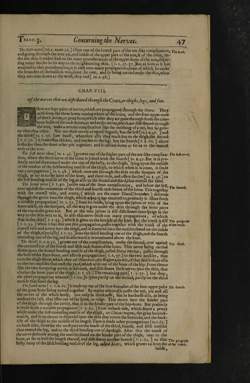 and going through the arm-pitjand infide of the upper part of the arm,& of the cubit, un¬ der the skin it makes haft to the inner protuberatlon ot the upper-bone of the arm,di(pcr- fing many furcles in its way to the neighbouring skin. [ 1.1. 37.37.]But as Toon as it has attained to this protuberation,it is cleft into many propagations,fomc of which lie under the branches of the bafilick vcinjfomc lie over, and fb being carried under the skin,when they arc come down to the wrift, they end [ i. 3 8.] of the nerves thdt aye àifrihuted through theC^i^^z^or thighs yle^s ^ and feet. ter then that other. Nor arc thefe nerves of cquall bignefs, but the firft [ta, 1 .».46. ] and '' thethirdj^trf. i. 56. ]arc foiall, wherefore allp they reach bu.t to the thighjthc Iccond Lt. I. 50.3 is Ibmewhat thicker, and reaches to the legj buç the fourth f. i. <5'1.3 alone is thicker then the three other put togetbers and is carried down as far 34 to the otmoft’ ends of the toes. ■ » ^ firfi mrve then [ta. 1. ^6.growes out of the higher part of the net-like complica- The firft nervC,’ tion, where the third nerve of the loins is joined with the fourth [ ta. 1.47. But it is pre- (ently carried downward under the rim of the belly, to the thigh; lying upon the outfidc of the tendon of the firft bending mufcle of the thigh, to which when it is come, it fends out a propagation [ ta. i. 48. ] which runs out through the sÙn on the forepart of the far as to the joint of the knee, and there ends, and offers (lirclcs fta. i. 49.3 to the firft bending mulclc of the leg,as alio to the iccond and third,that extend the fame. 7be fécond nerve [ 1.1. jo. 1 arifes out of the fame complication, and below the firft . over againft the connexion of the third and fourth rack-bones of the loins. This together with the crurali vein, and artery, ( which arc the outer Iliacall branches ) defeends through the groin into the thigh, which w^ep it has attained to,prefcntly it iffues forth a notable propagation [ trf. i. 51.3 from its infide, lying upon thefafhena or vein of the inner ankle, on the forepart, all the way it goes under the skin through the inner parts of the cm to the great toe. But as the vein faphena it fclf diftributes fome fprigs in the way to the skin next to it, fo allb this nerve fends out many propagations, of which that is the chief [ f. i. 5 3.3 which it gives to the forefidc pfth? knee. But the trunk it fclf Tte progrefli j]t. I. 54. ] when it has lent outthispropagation,pafles together witfr the trunk oF the ofthetmnkw crurali vein and artery into the thigh,and is fcattered into the mufclcs feared on the infidc of the thigh,efpecially[ 1.1.5 5.3into the third bending one of the thigh,and the fourth > extending one oftlie legjand fo afterward it is terminated above the knee. Tfcc third [ t. i. w. 5 6.3 grows out of the complication, under the fécond, over againft the conjunction of the fourth and fifth rack-bones of the loins. This nerve being carried down upon the fécond bending mufcle of the thigh, called Iliacm interntn, pafles through’ the hole ofthc lhare-bone, and affords propagations [ 1.1, 57.3 to the two mufclcs, that turn the thigh about,which they cal ObturatoreSythc ftoppers,to wit,of that faid hole,as alfo to the two mufclcs that ereft the yard, which arilc out of the bone of the hip. From thence like the two foregoing nerves, it defeends, and diftributes little nerves into the skin, that clothes the inner part of the thigh [t. i. 58.3 The remaining part[ t. i. 57.3 lies deep, the chief propagation whereof [t. i .6o.3is fpcntpartly on the fécond, partly on the third mufcle that bend the leg. Jhe fourth nerve [ t. i. k. <51.3 is made up out of the fore-branches of the four upper pairs ihe fourth, of the great bone being united together. By rcafon whereof it pafles the reft, yea and all the nerves of the whole body, not only in thicknefle, but in hardneffe alfo, as being madeofthelaft, that iffue out of the fpiné, or ridge. This enters into the hinder part of the thigh through the cavity, that is in the hinder part ofthc hip-bone. But prefently it fends forth a notable propagation [t. i. 62.3 from its back-fide, which flay es a pretty while under the firft extending mufcle of the thigh, or Glutaus magnus, the great buttock- mufclc, and from thence is difperfed into the skin that covers the buttocks, and the back- fide of the thigh to the middleofits length.Then it fends other propagations [ta.i.ô^.'f on both fidcs, three for the moftparttothe heads of the third, fourth, and fifth mufcles that extend the leg, and to the third bending one of the thigh. After this the trunk of the nerve defeends among the mufclcs fcated ©U hjnder part of the thigh, near to the bone, as far as half the length thereof, and diftrijwta another branch [ f. i. 64. ] to that -phe progreffe flcfhy lump of the fifth bending mufcle of tbe leg, ç^ll^f^içe^s, which grows to it on the of the trank.
