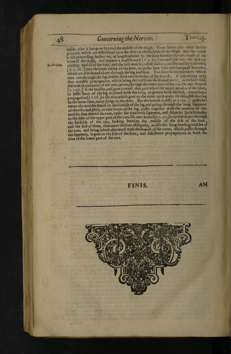 infide after it has gone beyond the middle of the thigh. From hence alfo other furcles proceed which arc diftributed into the skin on thebackfide of the thigh. Bat the trunk it felf proceeding farther on, at'length attains to the knee betwixt the two heads of the ' bonc of thethigl^, and imparts a fniallbranch [t. i. 65.3 on each fide into the firft ex¬ its divifion. tending mufcle of the fodt, and the foie mufclc, called flantark^ and by and by is divided, f t t 66 i into the inner cavity ofthc knee,'or in the ham into two unequall branches, which are diftributed alone through the leg and foot. For there is not any nerve which runs otipthrough the leg, befides thefe two branches of the fourth 3 if you except only that notable propagation, which being derived from the fécond nerve, as wc have faid, defeends in company of the vein ppbewrf,through the inner part of the crin.lhe outer branch ft I 67 1 is the fmaller,and goes toward that part where the upper affcndjx of the fibula^ or IcfiTcr bone of the leg is joined with the tibia, or greater bone thereof, fcattering a propagation[t.i.68.]in the way,which goes to the outer ancleundcr the skin,diftri^iting in the mean time,many {prigs to the skin. But the branch it {elf^td. i. 69. J pa.fles be¬ tween the mufclcs feated on theforefide of the leg,and going through the long ligament oïthctibia zndfibula, or two bones ofthc leg, paffes together with the tendons of the mufcles that extend the toes, under the tranfvcrfe ligament, and difpcrfcs little branches to the fidcs of the upper part ofthc toes.îie inner branch[t.i. 72.]is carried down through the backfide of the cru^, lurking betwixt the mufelc of the foie of the foot, and the firft of them, that move the foot obliquely, as alfo the long bending mufcles of the tocS3 and being joined afterward with the branch of the outer, which paffes through theligament, itgocs to the foie of the foot, and diftributes propagations in both the fidcs of the lower part of the toes. FINIS. AH Il ‘ IB t 1)1
