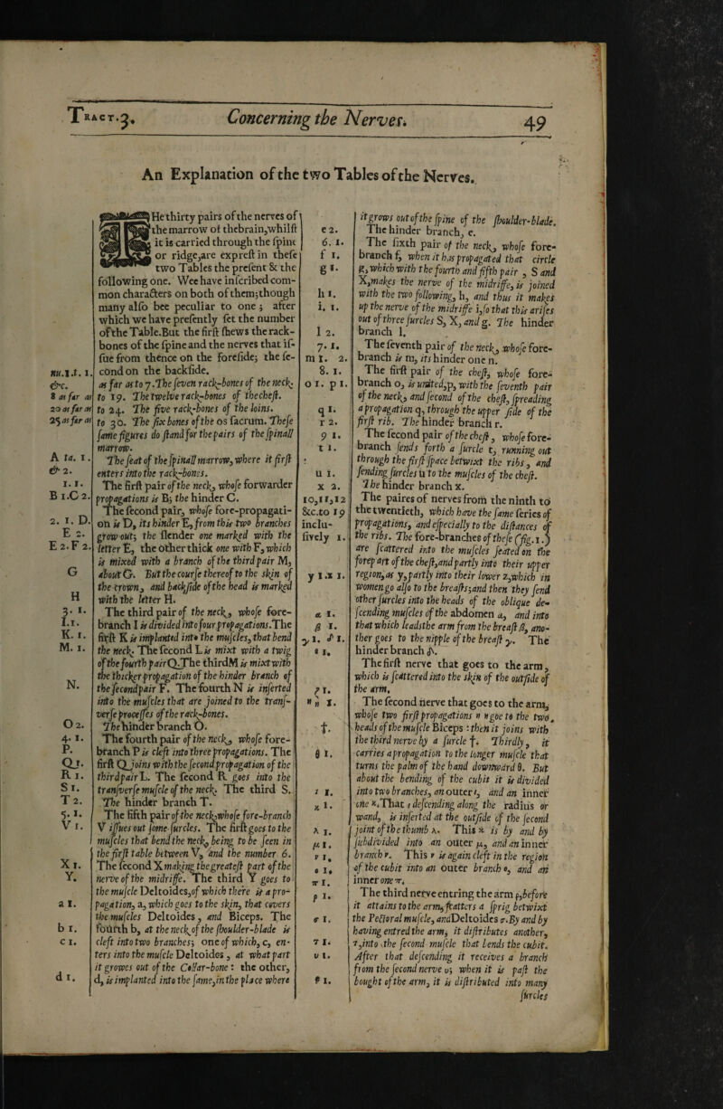 An ExpUnation ofthc two Tables of the Nerves., 1. 8 at far as at far CH 2% as far at A ta. 1. & 2. I. I. B1.C2. 2. I. D. E 2. E 2.F 2. G H 3. I. I.i. K. I. M. I. N. O 2. 4.1. P. Qj* R I. Si. T 2. Xi. Y. A 1. b I. c I. d I. He thirty pairs of the nerves of' ■®*«*^the marrow of thcbrainjWhilft it is carried through the fpint or ridge jare exp reft in thefc two Tables the prefent & the following one. Wee have inferibed com¬ mon charafters on both of thcm;though niafty alfb bee peculiar to one ; after which we have prefently fet the number of the Table.But the firft (hews the rack- bones of the fpine and the nerves that if- fue from thence on the forefidej the fé¬ cond on the backfide. as far astoj.lhefevenracJ^boncsof thenecl^ to 19. 7he twelve rack^bones of the chef, to 24. The five rack^-bones of the loins, to 30. The fix bones of the os fzeruta. Thefe [anie figures do fiand far the fairs of theffinaJI C2. 6. I. f I. g»- In. i. I. 1 2. 7.1. m I. 2. 8.1. 01. pi. ql. r 2. 9 *. marrow- The feat of the [final! marrow, where it firfi enters into the racl^bon^s. The firft pair of the neck, whefe forwarder frofagations U Bj the hinder C. The fécond pair, whefe fore-propagati¬ on if D, its hinder 'E,from thit two branches grow out', the flender one marked with the letter E, the other thick one with F, which is mixed with a branch of the third fair M, about O. Blit the courfe thereof to the skin of the crown, and backfide of the head is marked with the letter H. The third pair 0/ thenecl^, whofe fore- branch I is divided into four f ref agations.The fitft K ^ imflanted into the mujcles, that bend the Heck- The fécond L*f mixt with a twig of the fourth fairQJ“he thirdM is mixt with Bsethickerfrofagation of the hinder branch of thefecondfairF- The fourth N i/ inferred into the mufcles that are joined to the tranf- verfefroeeffes oftherack^bones- Tfcehindfcr branch O. The fourth pair of the neckj, whofe fore- branch P is cleft into three frofagations. The firft KXjoins with the fécond frofagation of the ’ thirdfairL. The fécond R goes into the tranfverfe mufcle of the neck_- The third S. The hinder branch T. The fifth pair cf the neck^whofe fore-branch V ifiuesout jome jurcles. The Bru goes to the mujcles that bend the neck^ being to be feen in the firJl table between V, ''and the number 6. Thefecond^makingtbegreatefl fart of the nerve of the midrife. The third Y goes to the mujcle Dcltoides^of which there is a fro- fagàtion, a, which goes to the skjn, that covers tile mufcles Deltoides, and Biceps. foùrth b, at the neck,ofthe (boulder-blade is cleft into two branches', one of which, c, en¬ ters into the mufcle Deltoïdes, at what fart it growes out of the CtHar-bone : the other, d, is imflanted into the fame,inthe flace where t I. u i. X 2. 10,11,12 &c.to IP indu- fivcly I. y l.x I. a, I. IS I- yl. </' I. * I. t. 0 t- I I. K t- A I. /4 1. V I, e I* j JT I. P I- ff I. T Is V 1. f I. it^^s outofthe [fine of the fhoulder-blade. The hinder branch, e. The ftxth pair of the neck, tohofe fore- branch whenith^isfrofagated that circle g, which with the fourth and fifth fair , S and X,mak^s the nerve of the midrife, is joined With the two following, h, and thus it mak^i uf the nerve of the midrife i,fo that this arifes I out of three jurclesS,X, and s. Jhe hinder ; branch 1. , The feventh pair of the neck, .whofe forc- I branch is m, its hinder one n. I The firft pair of the chefi^ -whofe fore- branch o, is united,p, with the feventh fair of the neck, and fécond of the chef, ff reading a frofagation q, through the uffer fide of the firfi rib. The hinder branch r. The fécond pair of the cheft, whofe fore- branch fends forth a furcle t, running out through the firfi fpace betwixt the ribs, and fending furcles ti to the mufcles of the chefi. hinder branch x. The paires of nerves from the ninth to the twentieth, which have the fame ferics of. frofagations, and effedally to the difiances of the ribs. The fore-branchee ofthefe (fig. i.) are fcattered into the mufcles feated on the foref art of the chefi,and partly into their uffer region,as y,partly into their lower z,which iri womengo alfo to the breafis',and then they fend other furcles into the heads of the oblique de¬ fending mufcles of the abdomen a, and into that which leadsthe arm from thebreafilS, ano¬ ther goes to the nipple of the breafi y. The hinder branch J\. The firft nerve that goes to the arm, which is fcattered into the skjn of the out fide of the arm. '' The fécond nerve that goes to the arm^ whofe two firfi propagations » ngoeto the twd, heads ofthe mufcle Biceps'.then it joins with the thitd nerve by a furcle f s Thirdly, it carries a propagation to the longer mujcle that turns the palm of the hand downward 9. But about the bending of the cubit it is divided intotwo branches, an outer!, and an innet one a^That I defending along the radius &r wand, is inferted at the outfitde of the fécond joint of th e thumb \- This a is by and by fubdivided into an outer/14, andaninuer branch v. This r is again cleft in the region ef the cubit into an outer brancho, and an inner one-rr. The third nerve entring the arm (,before it attains to the arm^ fiatters a [prig betwixt the Federal mufcle, dwdDeltoidcs 7.By and by having entred the arm, it difiributes another, rfinto Kîhe fécond mufcle that bends the cubit. After that defending it receives a branch from the fécond nerve V', when it is fafi the bought cf the arm, it is difiributed into many