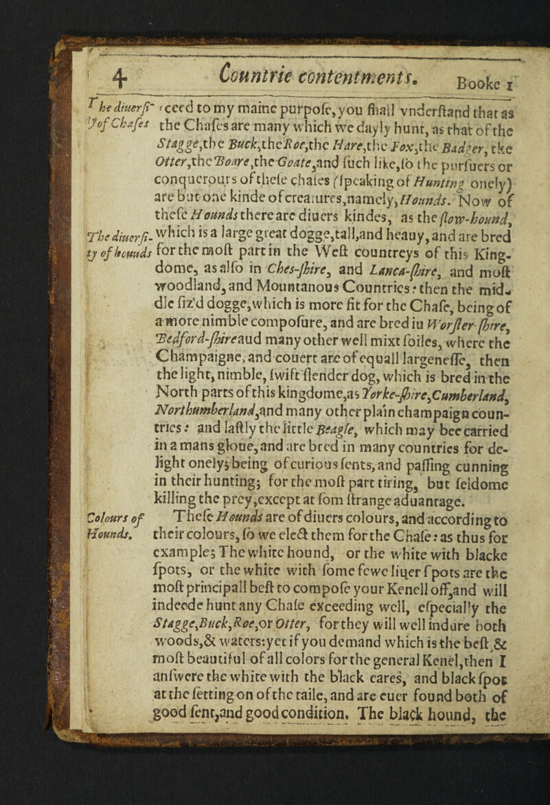 | 4> Count tie contentments. g0oke i rhe diuerfi' cced to my maincpurpofc.you fliail vndcrfhind diatas !Jof chafes the Chafes are many which we day ly hunt, as that of the Stagge^hc the.fi<v,the Hare,thc-iuWjthe Bad?er, tke Oiter,thc'Bowe,theGeatesan<j fuch like,(o (he pnrluersor conqucrours of t.hefe chaies (Ipcaking of Hunting onely) are but one kinde ofcrca;urcs,namely,//(?;.-%*. Now of thefc H muds there are diuers kindes, as the (law-hound, \Thediaerji- which is a large great dogge,tall,and heauy,and arc bred tj efltcmds f°r the mod parcin the Well countreys of this King. dome, asalfo in Ches-Jhre3 and Lanca-fare^ and moft woodiand3 and Mountanous Countries: then the mid¬ dle fiz’d dogge, which is more fit for the Chafe, beingof a more nimble compofure, and are bred in WorJlerfbtre7 'Sedford-Jhireaud many other well mixt foiles, where the Champaigne.and couert are of equal! largenefle3 then the light, nimble, ivvift flendcr dog, which js bred in the \ * North parts of this kingdome, as Itorke-Poire^Cumberland^ Northumberland find many other plain champaign coun¬ tries: andlaftly the little#^/*, which may bee carried in a mans gk>ue5and are bred in many countries for de¬ light onely* being of curious fents^and parting cunning in their hunting; for the moft part tiring3 but feidome killing the prey,except at fom ftrangeaduanrage. Colours of Thefc Hounds are of diuers colours, and according to Hounds, their colours, fb we ele3 them for the Chafe: as thus for examples The white hound, or the w hite with blacke fpots, or the white with fomefeweliqer fpotsarethc moft principal! beft to compofe your Kenell off3and will indeede hunt any Chafe exceeding well, efpecially the Stdgge^Buckfioefit.Otter, forthey will well indure both woods,& waters-.yct if you demand which is the beff & moft beautiful of all colors for the general Kenel,then I anfwcre the white with the black cares, and blackfpos atrhcfettingonofthctaile,andarecuer found both of good lent,and good condition, The black hound, the