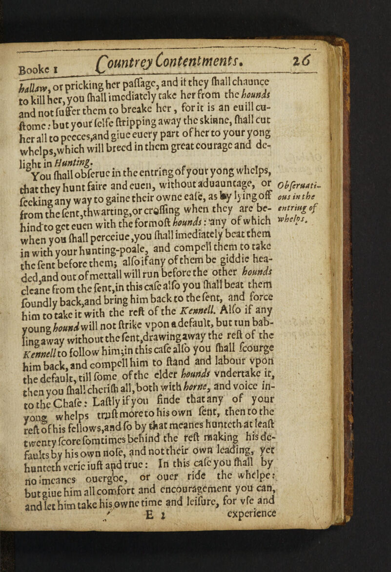 Ldhmr~ot pricking her pafllagc, and it they dial chaunce to kill her you (hall imediately take her from the hounds and not fuffer them to breake her, for it is an euillcu- ftome • but youf fclfe dripping away the skiane, (hall cut her all to peeces,and giue euery part of her to your yong whelps,which will breed in them great courage and de¬ light in Hunting. You (hall obferue in the entrmgof your yong whelps, thatthey hunt faire and eucn, withoutaduauntage, or obferuoti- feekineany way to gaine their ownceafc, as by lying off ousinthc from the fent,thwarting,or craffing when they are be- string of hinefto get euen with the formoft hounds: 'any of which when you (hall perceiue ,you (hall imediately beatthem in with your hunting-poale, and compel! them to take the fent before them; alfoifany of them be giddie hea¬ ded and out ofmettall will run before the other hounds cleane from the fent,in this cafe alfo you (hall beat them foundly back,and bring him back to the fent, and force him to take it with the reft of the Ke»neil.AUo if any young hound will not ftrike vpon a default, but tunbab- ling a way without the fent,drawing away the reft of the Kenneli to follow him;in this cafe alio you (hall .courgc him back, and compcll him to ftand and labour ypon the default, till fome of the elder hounds vndertake it, then you dial! chcrifh all,both with horn, and voice in¬ to the Chafe: Laftlyifyou finde that any of your von« whelps tryftmoretohisown fent, then to the reft of his fellows,and fo by that meanes hunteth at lead twentyfeorefomtimesbehindthe reft making his de¬ faults bv his own nofe, and not their own leading, yet hunteth vcric iuft and true: In this cafe you (hall by noimcancs ouergbc, or oucr ride the whclpc: but giue him all comfort and encouragement you can and let him take hisowne time and leifurc, for vfc and / E l experience