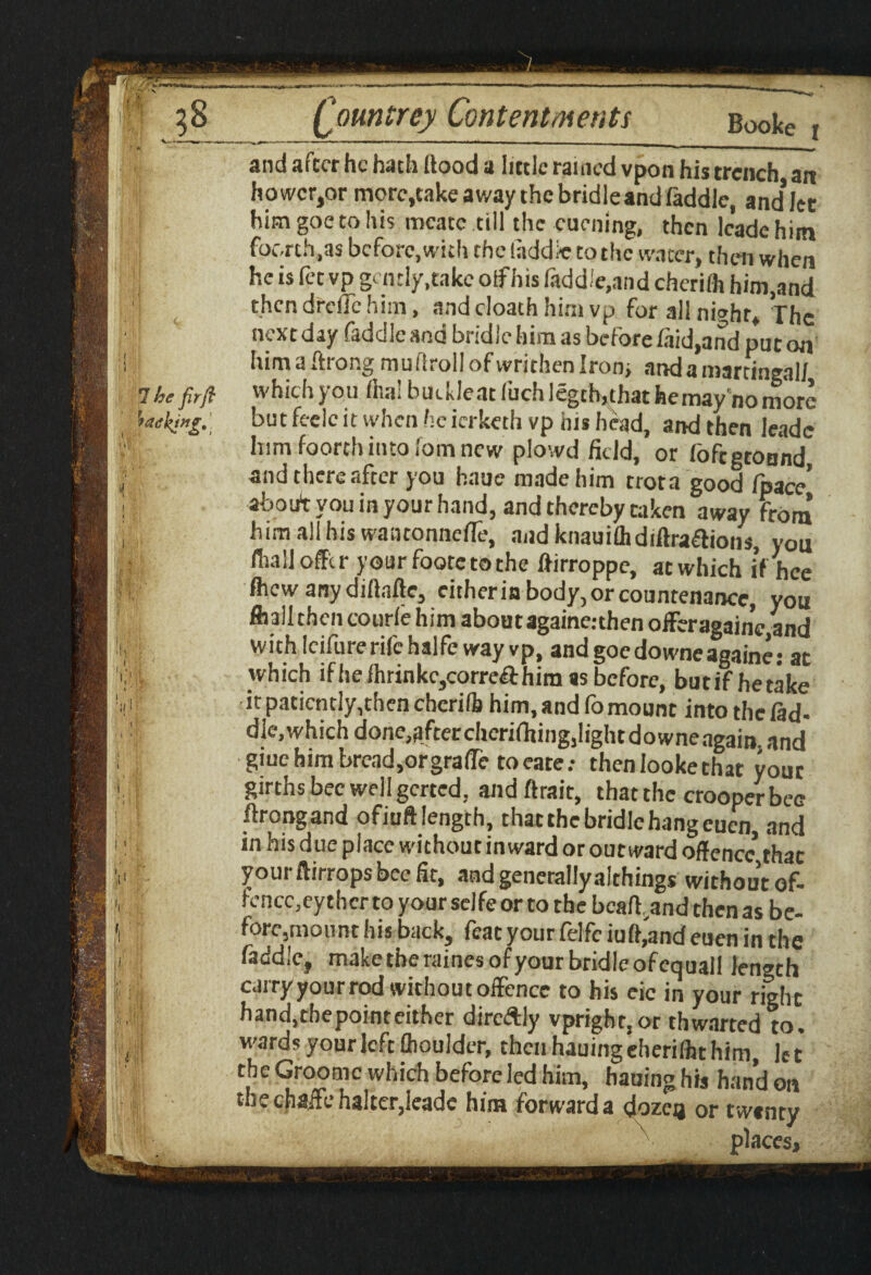 1 be fir ft 'lacking. 1 and after he hath flood a little rained vpon his trench an howcr,or more,take away the bridle and (addle, and’let him goe to his mcatc till the euening, then leade him focrth.as before, with the laddie to the water, then when he is let vp gently,take otf his laddie,and cherilh him,and thendrelTchim, andcloathhimvp for allni^hr* The next day faddleand bridle him as before laid,and put on him a ftrong muftroll of wrjthen Iron, and a martingal/ which you dial budleat luch legth,that hemay'nomorc but feele it when he ierketh vp his head, and then leade him foorth into fom new plowd field, or lo ft g to and and thereafter you haue made him trota good fpace’ about you in your hand, and thereby taken away from him all his wantonnelle, and knauilhdiftraflions, you fliailofftr yourfoote to the ftirroppe, atwhich iVhce fliew any diftafte, either in body, or countenance, you Aalithcn courle him aboutagaine.-then offer againc,and with lcifurerifehalfe way vp, andgoedowneagaine: at which if he fhrinkc,correft him as before, butifhetake it patiently,then chcrilb him, and fo mount into the lad- die.which done,after cherifliing,lightdowne again, and giuc him bread, or grade to eatethen looke that your girths bee well gerted, andftrait, that the crooper bee flrongand ofiuftlength, that the bridle hang eucn, and in his due place without inward or out ward offence that your flirrops bee fit, and generally althings without of- fcncc,ey thcr to your selfe or to the bcafland then as be¬ fore,mount his back, feat your felfciuft,andeuen in the Caddie, maketberainesofyourbridleofequall length carry your rod without offence to his eic in your right hand, the point either dircftly vprighr,or thwarted to. wards your left flioulder, then hauingcherilht him, let the Groomc which before led him, hauing his hand on the chaffe halter,leade him forward a doze# or twenty