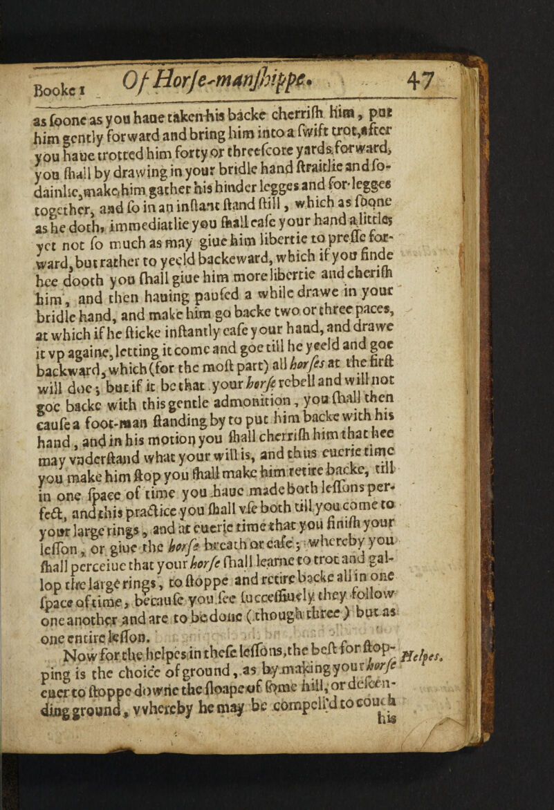 Bookc i ■ ____ asfooncasyouhauetiikciihtsbacke chcrrilh him, put him gently forward and bring bim into a fwift trot,«fcci you haue trotted him forty or thrcefcore ynrds.forward, you Ml by drawing in your bridle hand ftrawke and fo- dainhe.makobim gather his hinder legges and for-legges together, and fo in an inflant ftand hill, which as foqne as he doth, immediatlie you Mlcalc your hand ahtdes yet not fo much as may giue him libcrtieto prctlc for¬ ward,butrather to yecld backeward, which if yon findc hce dooth you fhall giue him morelibcrtie aiui chcrifh him , and then hauing paufed a while drawe in your bridle hand, and make him go backe two or three paces, - atwhich ifhefticke inftantly cafe your hand, and drawe it vp againe, letting it come and goe till he yeeld and got backward, which(for the molt pact) zMkorftsu the fir it will doc j bur if it be that your borjc rcbeh and will not got backe with this gentle admonition you (hall then caufe a foot-man flanding by to put him backe with is hand, and in his motion you ihall cherriih him that hee may vaderftand what your will is, and thus euene time you make him ftop you Ml make himretite backe, till in one fpaee of time you .haue made both leffons per- fc£t, and this puaftke you fhall vfc both till you co me to your large rings, and at eucric time that you fimjh your IcfTon, or giue the korf? breachorcafe; whereby you fhall pcrceiuc that your hor/e (ball leame toitrotand gal- lop the large rings, toftoppe and rcthebacke all m one fpaee of time, becaufe you lee LuccelTtuely cheyfolow one another ^nd are to be done (though three ) but as one entire teflon, t n c - Now for the hdpes in thefe lcflbns,the belt tor ftop- ff, ping is the choice of ground, as by making your cucr to ftoppe downe the lloape of frmre hill,'or deice n- ding ground , whereby he may be compcli’d to cout a