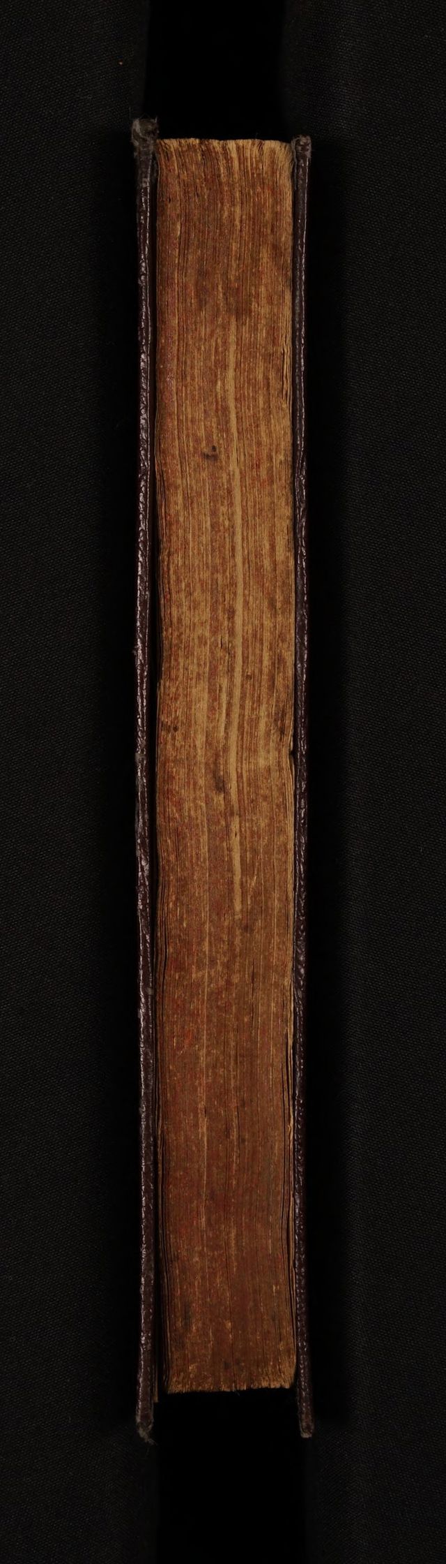 digitised image 3