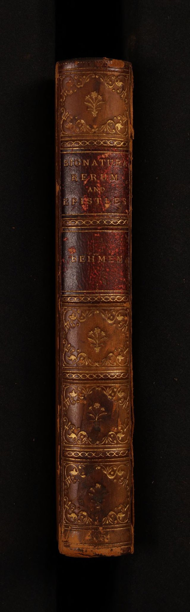 digitised image 2