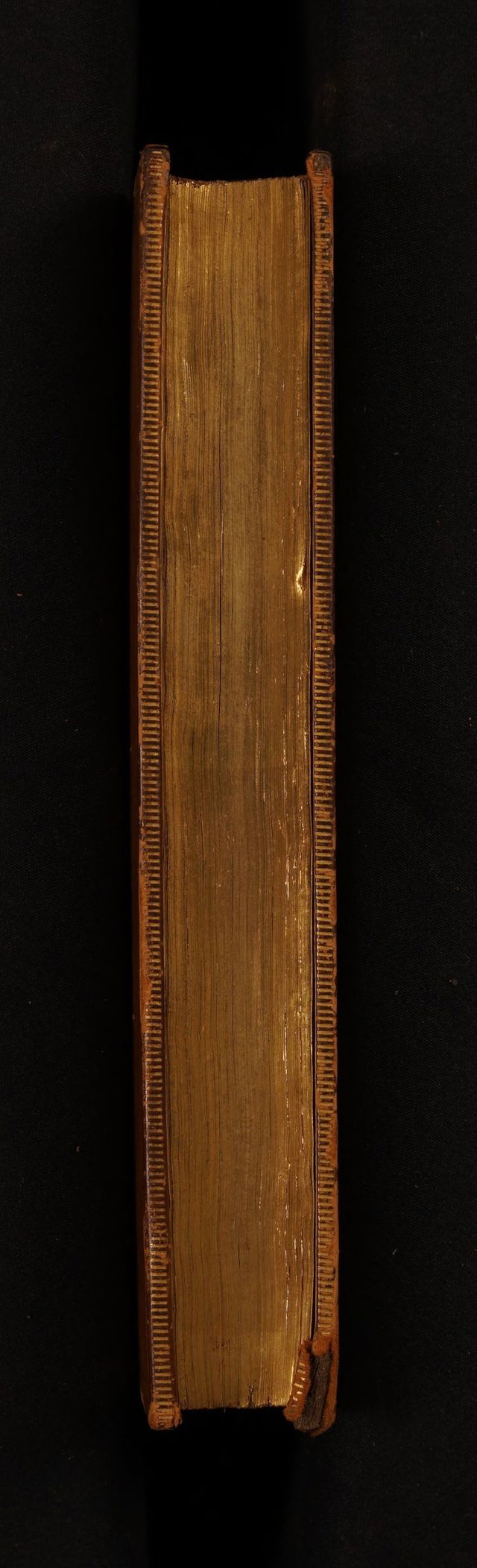 digitised image 3
