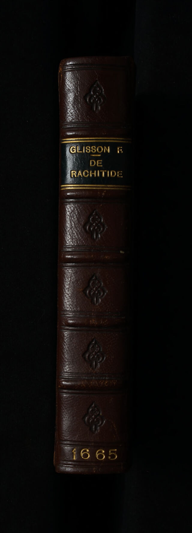 No text description is available for this image