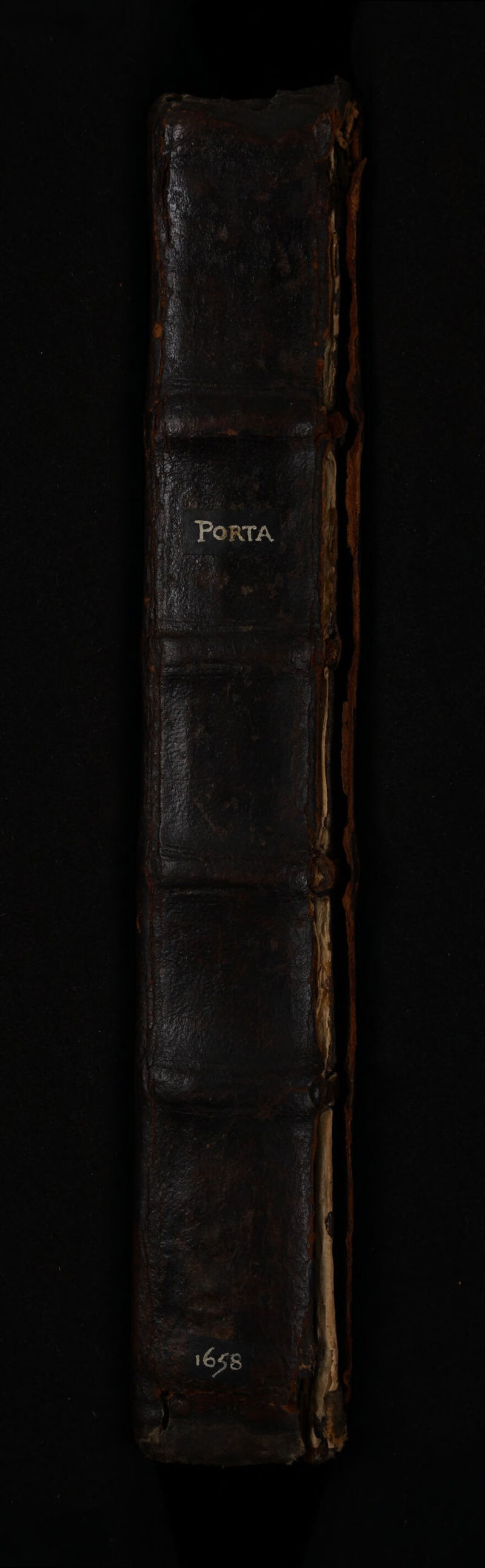 No text description is available for this image