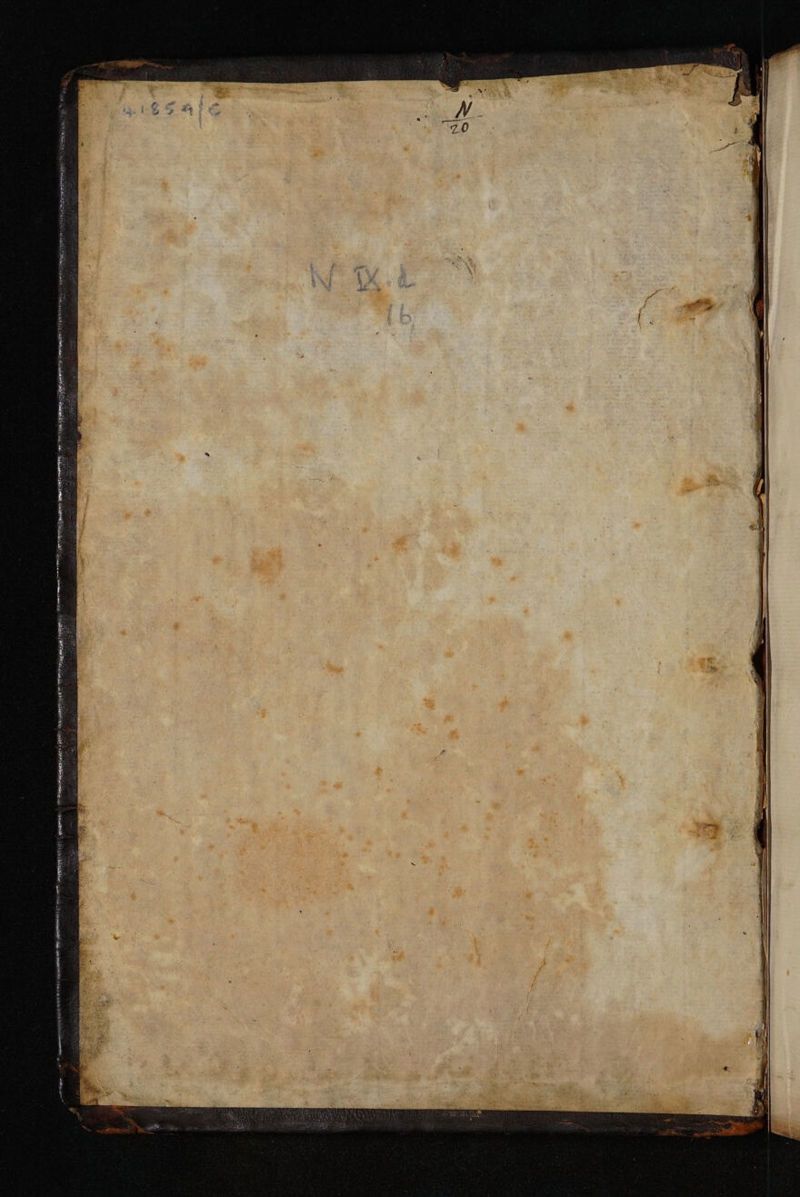 No text description is available for this image