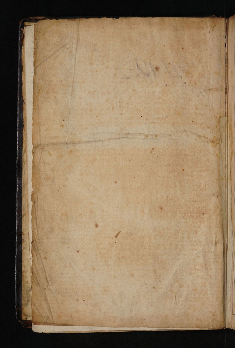 No text description is available for this image