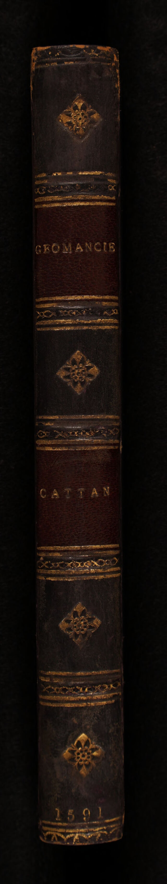 digitised image 2
