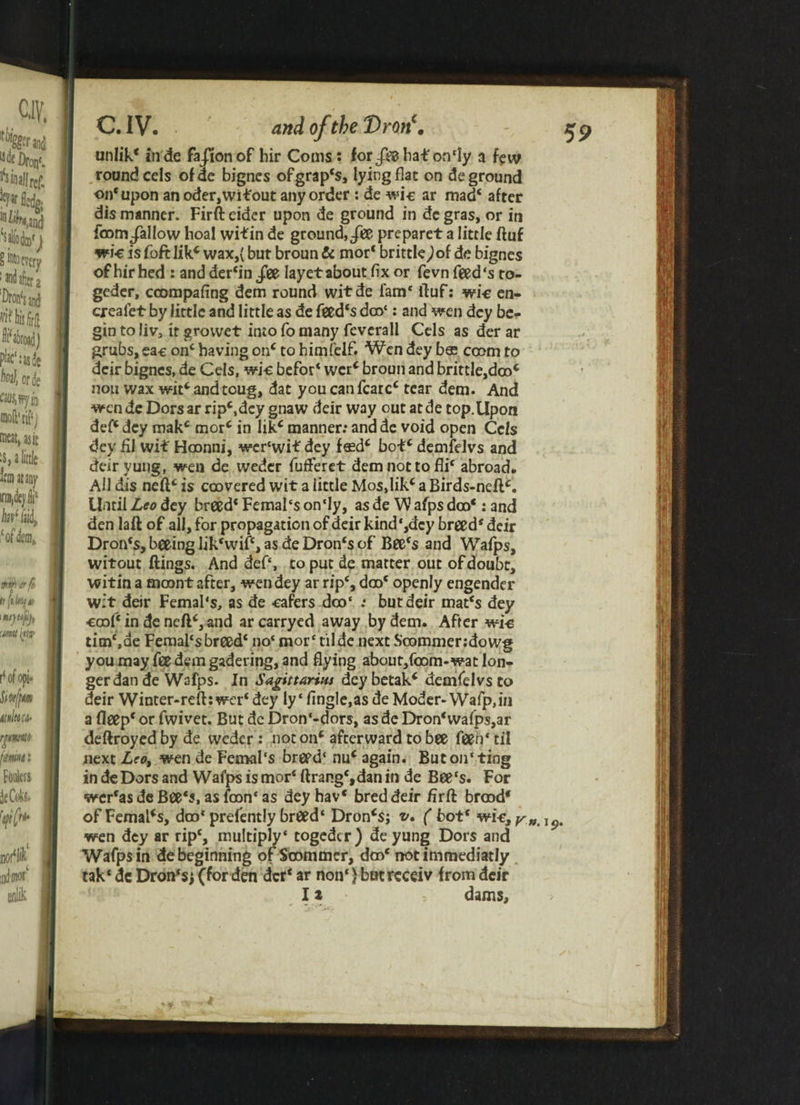 unlik* inde fajlonof hir Corns : for/eehaf on'Iy a few round cels ofde bignes ofgrap's, lying flat on de ground on* upon an oder,witout any order : de wi-e ar mad* after dis manner. Firft eider upon de ground in de gras, or in foom/allow hoal witin de ground, fie prcparet a little ftuf wk is foft likc wax,{ but broun & mor* brittle,)of de bignes of hir hed : and der‘in /ee lay et about fix or fevn feed's ro- geder, ccompafing dem round witde lam* ftuf: wi-e en- creafet by little and little as de feed*s dco‘: and wen dey be¬ gin to iiv, it grovvet into fo many feverall Cels as der ar grubs, ea-e on* having on* to himfelf. Wen dey b$ ccom to dcir bignes, de Cels, wk befor* wer* broun and brittle,doo* non wax wit*andtoug, dat youcanfcarc* tear dem. And wen de Dors ar rip*,dey gnaw deir way out atde top.Upon def* dey mak* mor* in Iik* manner: and dc void open Cels dey fil wit Hoonni, wcr‘wif dey f«d* bob* demfelvs and deiryung, wen de weder fufteret demnottofli* abroad. All dis neft* is coovered wit a iittle Mos,lik* a Birds-neft*. Until Leo dey breed* Femal's on'Iy, as de W afps dm*: and den laft of all, for propagation of deir kind‘,dcy breed* deir Dron*s, beeing Iik'wif*, as de Dron‘s of Bee*s and Wafps, witout ftings. And def‘, to put de matter out of doubt, witin a moont after, wen dey ar rip*, doo* openly engender wit deir Femal's, as de eafers doo' : but deir mat's dey ■cool* in de ncft*, and arcarryed away by dem. After wi-e tim*,ae Femal‘sbreed* no* mor* tilde next Soommer.-dowg you may fee dem gadering, and flying about,fcom«wat lon¬ ger dan de Wafps. In Sagittarius dey betak* demfelvs to deir Winter-refhwcr* dey ly * Angle,as de Moder- Wafp,iu a fleep* or fwivet. But dc Dron'-dors, as de Dron‘wafps,ar deftroyedbyde weder : noton* afterward to bee fteh'til next L'ot wen de Femal's breed* nu* again. Buton'ting in de Dors and Wafps is mor* ftrang*,dan m de Bee*s. For wcr*as de Bee's, as foon* as dey hav* bred deir firft brood* ofFemal*s, doo* prefently breed* Dron*s; v. ( bot* wre, y».i9. wen dey ar rip*, multiply* togedcr) de yung Dors and Wafps in de beginning of Soommcr, doo* not immediatly tak* de Dron‘sj (for den dcr* ar non*} butrcceiv from deir 11 dams.