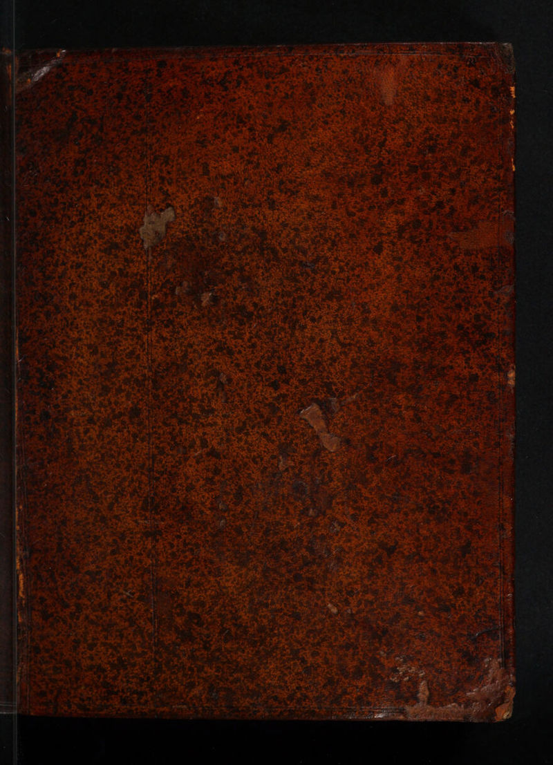 voi er io a P4 S M ee ee oT ee