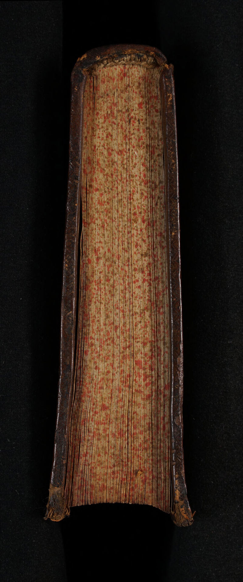 No text description is available for this image