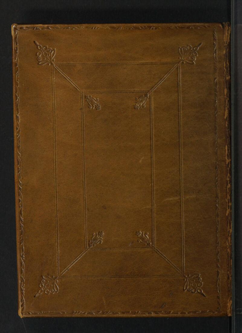 No text description is available for this image