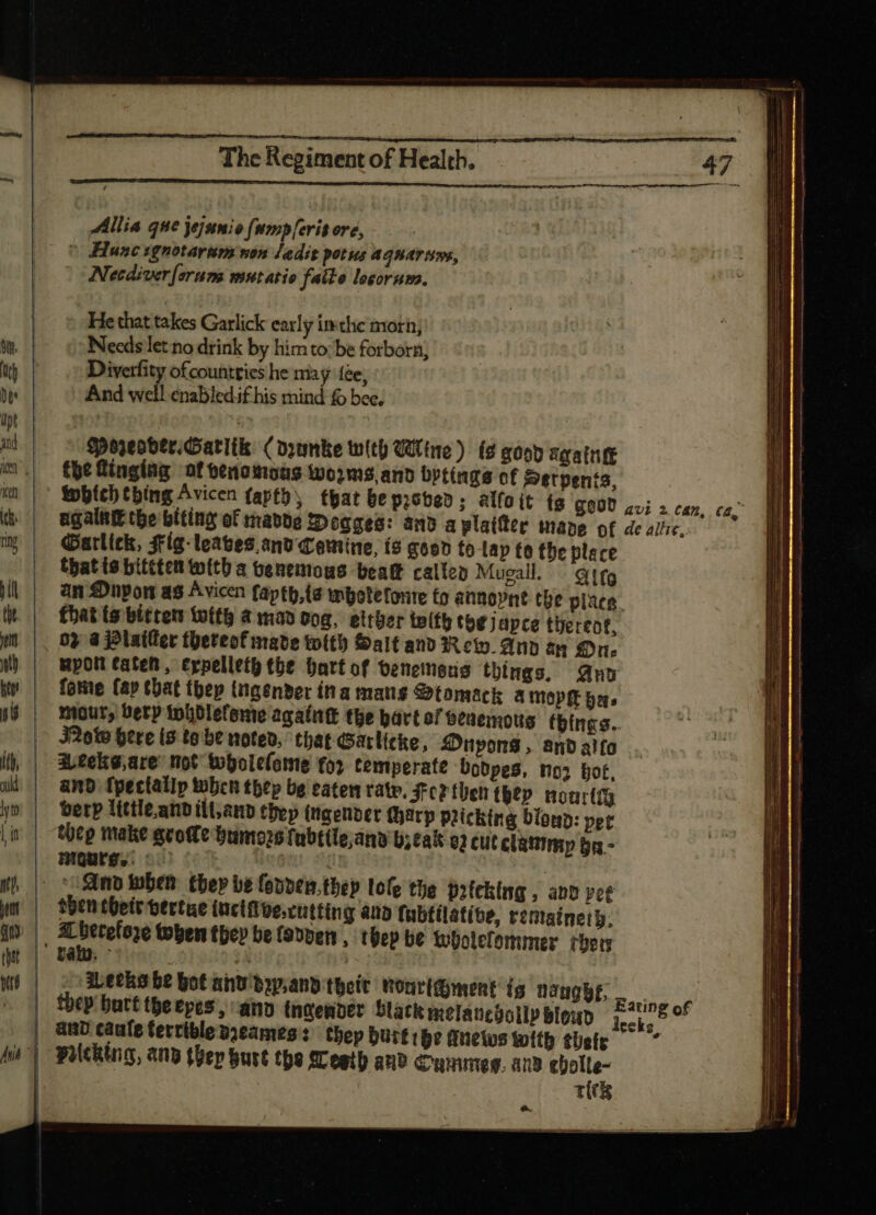 Allia que jejunio fwmpferit ore, ^ Hunc sgnotarim non Jadit potus aqnarums, Necdiver [erum mutatio failo loeorum. He that takes Garlick early imthe motn; Needs let no drink by him to: be forborn, Diverfity ofcountries he may fee, And well enabledif his mind fo bee, Sporenver,Garltk Coymmke with Wine) (2 goon &amp;fatnft tbe finging of penomoas worms, and bptings of Serpents, twbtch thing Avicen fapth, that be probed; alfo it Garlick, Fig-leaves.anv omine, is good to tap te the place Chat is bittten with a Genemous beat calten Mueall. - gifg an Dnpon as Avicen faptb,(a wmbotefonte fo annopnt tbe placa that (s bitten with à mao Dog, eltber twith tbe japce thereot, upon tateh , erpelleth the hart of veneers things. Ano fotie fap that tbep ingender ina mans @tomack a mopft has nur, Dety totblefeme agaíntt the bart of senemous tbings.. Mow here is to be noted. that Garlicke, Mrpons, andalfo a,tekg,are not tobole(ome for temperate bodpes, no; bof, and fpectallp then thep be tatem rate. re? then ttp. nourttg berp little anb illam thep ingender harp pricking blond: pet mourg. ©. then thetr trtue inctfve.cntting ana fubtilatibe, remainety: Leeks be bot ant dyyp.and their NooriGment ts nangbf, rie’