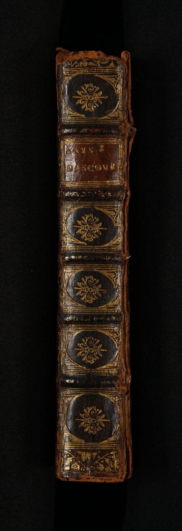 No text description is available for this image