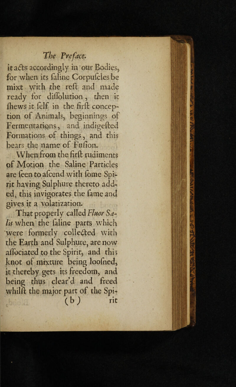 it act? accordingly in our Bodies, for when its faline Corpufclcs be mixt with the reft and made ready for diffolution, then it fliews it felf in the firft concep¬ tion of Animals, beginnings of Fermentations, and indigefted Formations of things, and this bears the name of Fufion. When from the firft rudiments of Motion the Saline Particles are teen to afcend with fome Spi¬ rit having Sulphure thereto add¬ ed, this invigorates the fame and gives it a volatization. That properly called Fluor Sa¬ ils when the ialine parts which were formerly collected with the Earth and Sulphure, are now affociated to the Spirit, and this knot of mixture being loofned, it thereby gets its freedom, and being thus clear’d and freed whilft the major part of the Spi? i - (b) rit