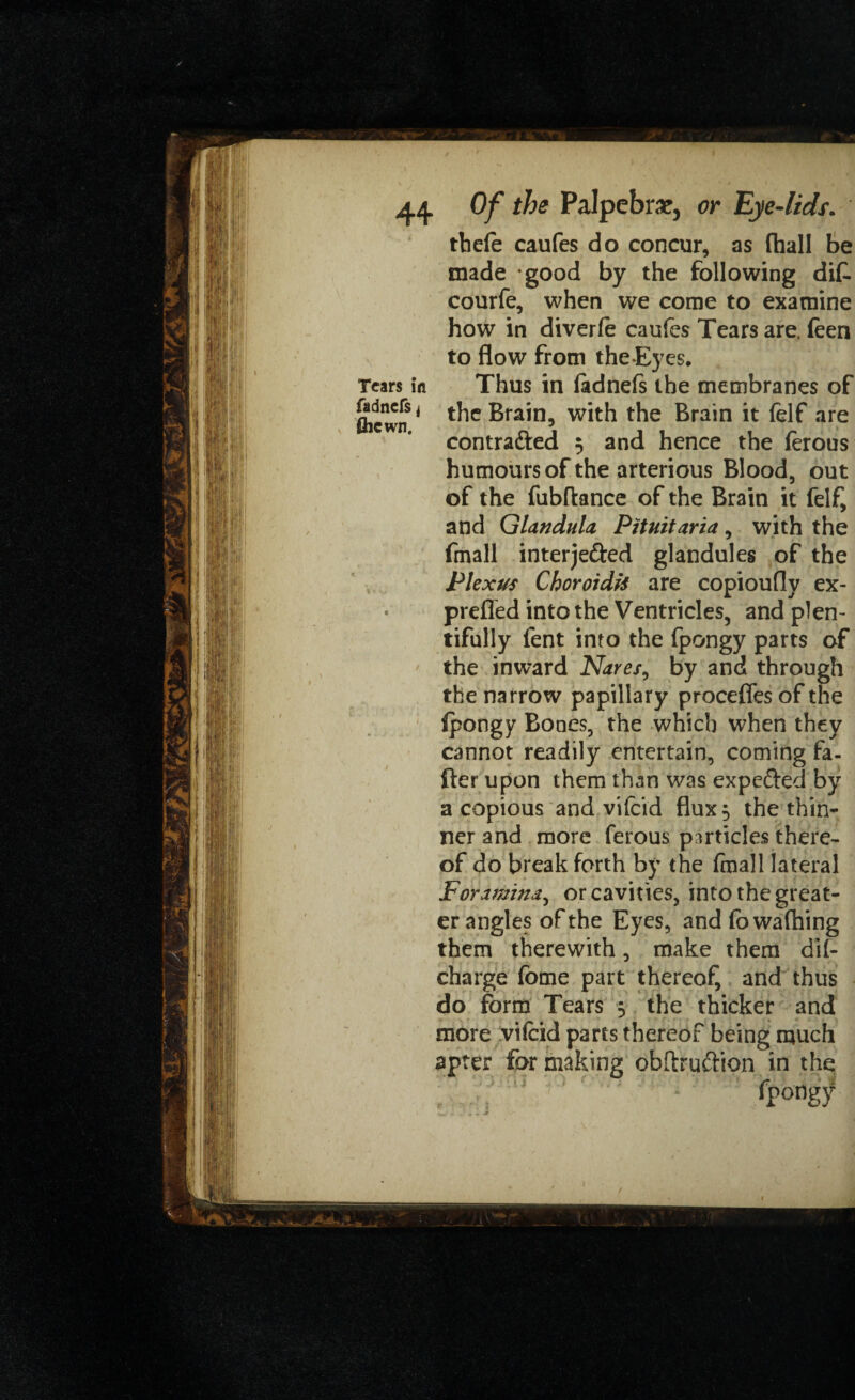 how in diverfe caufes Tears are. feen to flow from theEyes. Tears in Thus in fadnefs the membranes of (hewn* the Brain, with the Brain it felf are contracted 5 and hence the ferous humours of the arterious Blood, out of the fubftance of the Brain it felf, and GlanduU Pituitaria, with the fmall interjeded glandules of the Plexus Choroidis are copioufly ex- prefled into the Ventricles, and plen¬ tifully lent into the fpongy parts of the inward Nares, by and through the narrow papillary procefles of the Ipongy Bones, the which when they cannot readily entertain, coming fa¬ lter upon them than was expe&ed by a copious and vifeid flux 5 the thin¬ ner and more ferous particles there¬ of do break forth by the fmall lateral Foramhtd^ or cavities, into the great¬ er angles of the Eyes, and fowafhing them therewith, make them dif- charge fome part thereof, and thus do form Tears $ the thicker and more vifcid parts thereof being much apter for making obftruction in the fpongy