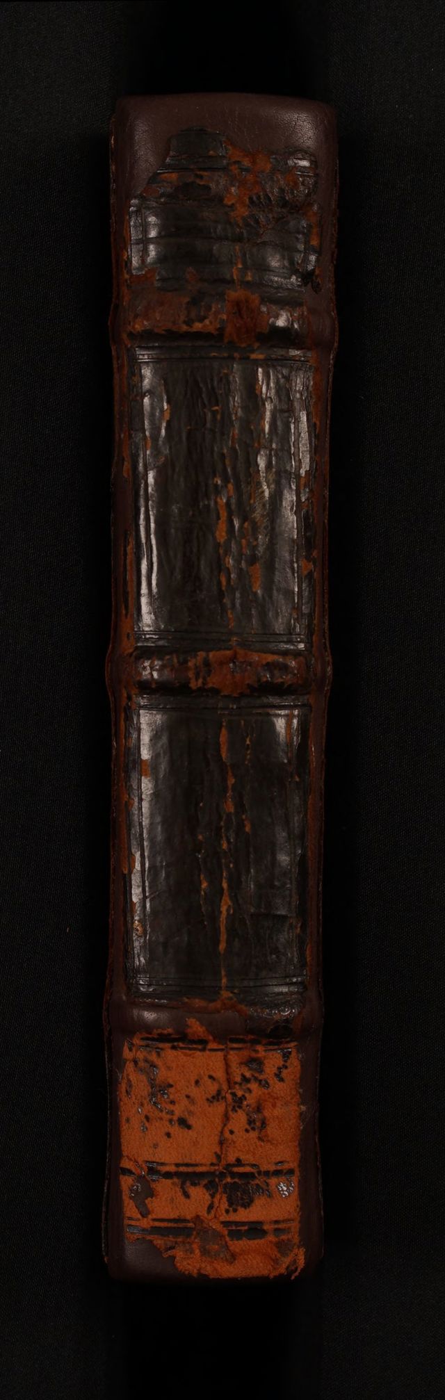 digitised image 2