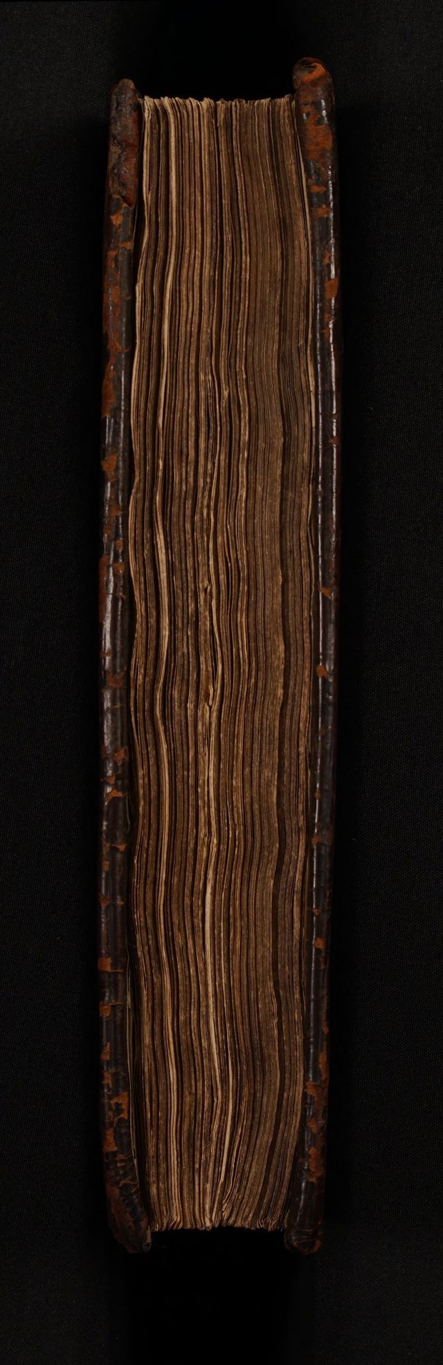 digitised image 3