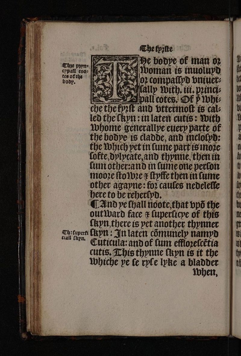 A pall cotes. DE 5 whi⸗ led the fkyn:inlaten cutis: with the bodye is cladde, and inclolpd: the which pet in lume part is moꝛe ſofte, dylycate, and thynne, then in mooꝛe ſto wꝛe ¢ ſtyffe then in fume other agayne: foꝛ caules nedelefle here to be reherlyd. ii ¶ And ve Chall noote, that bps the out ward face æ ſuperſicye of this fkpn there is pet another thynner Kalk len TKyn: In laten cõmunely namyd Cuticula: and of Cum effloꝛeſcẽtia cutis. This thynne ſkyn is it the Whiche ye fe ryle lyke a bladder when,