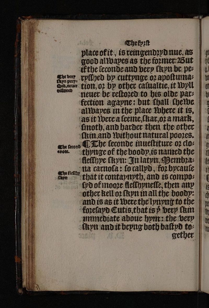 The kyꝛſt n pery⸗ as it were a ſeeme,. ſkar, oꝛ a mark, kin and without natural pooꝛes. coo. othpnge of the boody is named the that it contaynyth, and is compo⸗ Satan pd ot mooꝛe fleſthyneſſe then any ae ( eee —