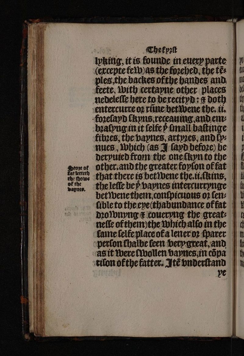 ek Chet pꝛit lyking, it is founde in euery parte (excepte te as the foꝛehed the tes ples the backes ofthe handes and feete, with certayne other places nedeleſſe here to be recityd: doth entercurre oꝛ rũne betwene the. ii. koꝛelayd ckyns receauing and em⸗ bꝛaſyng in it ſelte y ſmall baſtinge fibꝛes, the vaynes artyꝛes, and ly⸗ nues, which (as J ſayd befoꝛe) be derpvuted from the one ſkyn to the Sion of Other. and the greater foyſon of fat dow that there is betwene the.tckins, dane. he leſle be vaynes intercurrynge bet wene them conſpicuous oꝛ fen: | lible to the eyecthabundance of fat dꝛolwnyng t coueryng the greats | nefic of them the which allo in the lame felfe place ot᷑a lener oꝛ ſparer perlon chalbe leen very great, and as it were wollen vaynes in cõpa tilon ofthe fatter. Itẽ vnderſtand