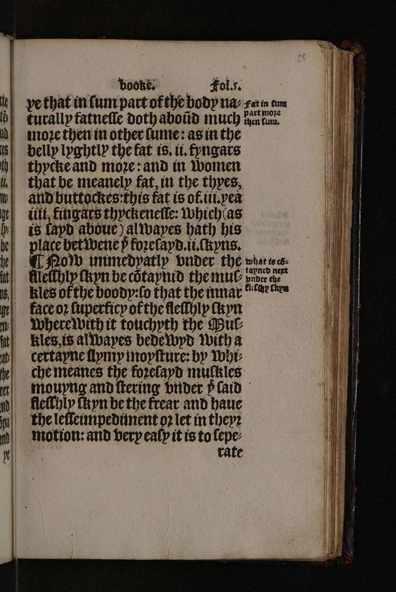 books Fool. | ve that in ſum part ofthe body nay set in com turally tatneſſe Doth aboũd much hen lun. mmonꝛe then in other lume: as in the belly lyghtl the fat is. ii. fyngars thycke and moꝛe: and in women % that be meanely fat, in the thyes, „and buttockes: this fat is ot. iii.yea llt, fingars thyckeneſſe: whichtas „is fayd aboue) al wayes bath his place bet wene p foꝛelayd. ii. ſkyns. „Now immedpatly vnder the wia, lleſthiy ſkyn be cõtaynid the mul vince ae kles of the boody:ſo that the innar een face oꝛ fuperficy of the ſleſſhly ſkyn Where with it touchyth the Mul⸗ Kles, is al wayes bedewyd with a certayne ſlymy moyſture: by Whi⸗ che meanes the foꝛelayd mulkles mouyng and ſtering vnder v laid fleſchly ſkyn be the frear and haue the leſſeimpedunent 02 let in theyꝛ motion: and very ealy it is to ſepe⸗ rate