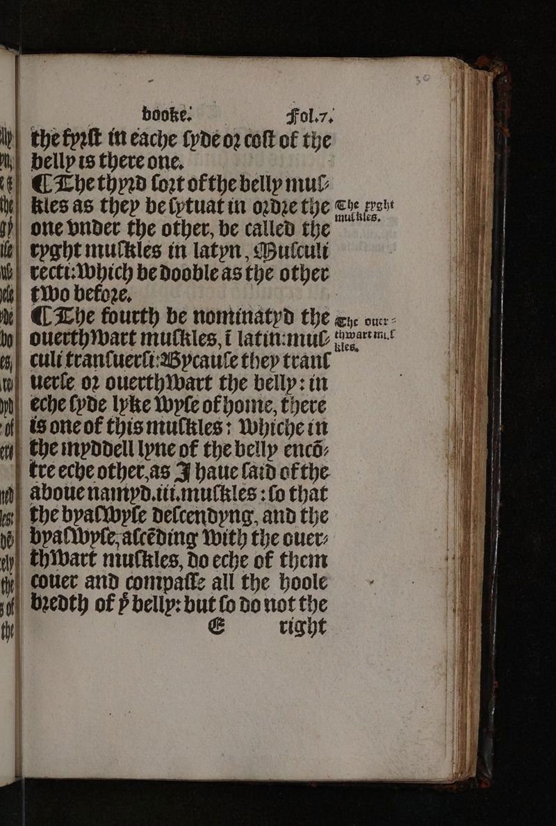 i the kyꝛſt in cache lyde 02 coſt of the belly is there one. 0 ¶ The thyꝛd Cort ofthe belly mul kles as they be lytuat in oꝛdꝛe the cu prot il one vnder the other, be called the Ie ryght mulkles in latyn, Mulculi ub 1 be dooble as the other two befo2e, ¶ The fourth be nominatyd the eye ou bo} ouerthwart muckles i latin: mul t on) Cult tranſuerũi Wycauſe they tran tw) Uerle 02 ouerth wart the belly: in Wh}, Eche lyde lyke Wyle of home, there ois one ot this mulkles: Whiche in | the inyddell lyne of the belly encõ⸗ tre eche other as J haue laid of the h aboue namyd. iii. muſckles: ſo that the byalwyle delcendyng, and the no} byalwyſle alcẽding with the ouer⸗ couer and contpatte all the boole bꝛedth of P belly: but fo do not the | € right es