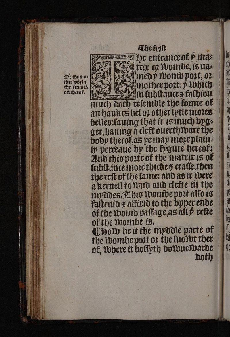 i med Womb port, o: e mother poꝛt:) which iin lubſtancer fachinn much Doth relemble the foꝛme ok an haukes bel oꝛ other iytle moꝛes belles: lauing that it is much byge |! ger, hauing a cleft ouerthwart the body therof,as ye may moꝛe plain⸗ ly perceaue by the fygure hereok. And this porte of the matrix is ok lubſtance more thicke r craſle then the reſt of the lame: and as it were a kernell to wnd and clefte in the myddes. This wombe poꝛt allo is faſtenid ¢ alfixid to the vpper ende okthe Womb pallage, as all y reſte 44 of the wombe is. yh Chow be it the myddle parte of the wombe port oꝛ the no wt ther 1 of, where it boſlyth „ ‘Th
